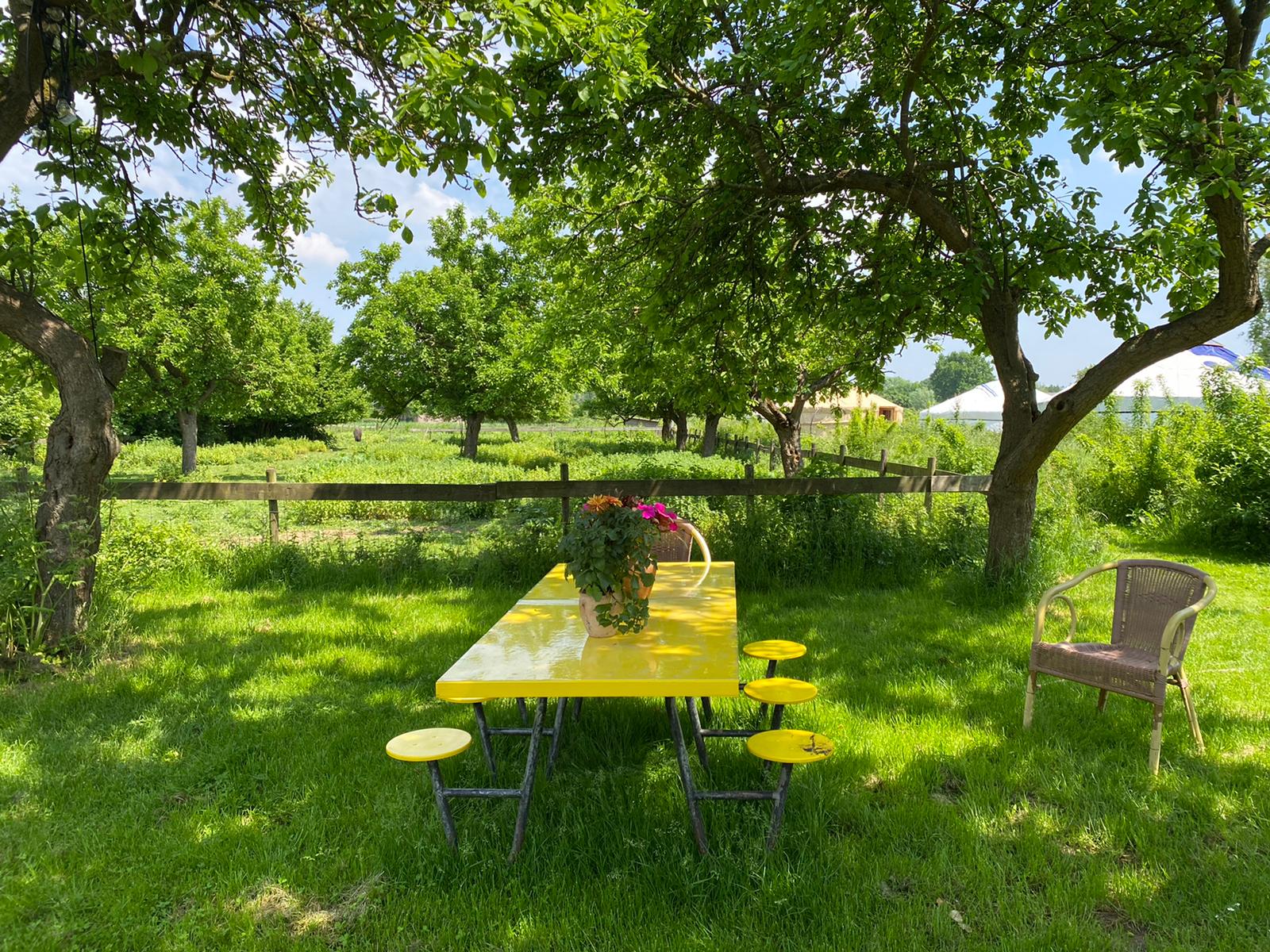 Casa nella natura a Winssen