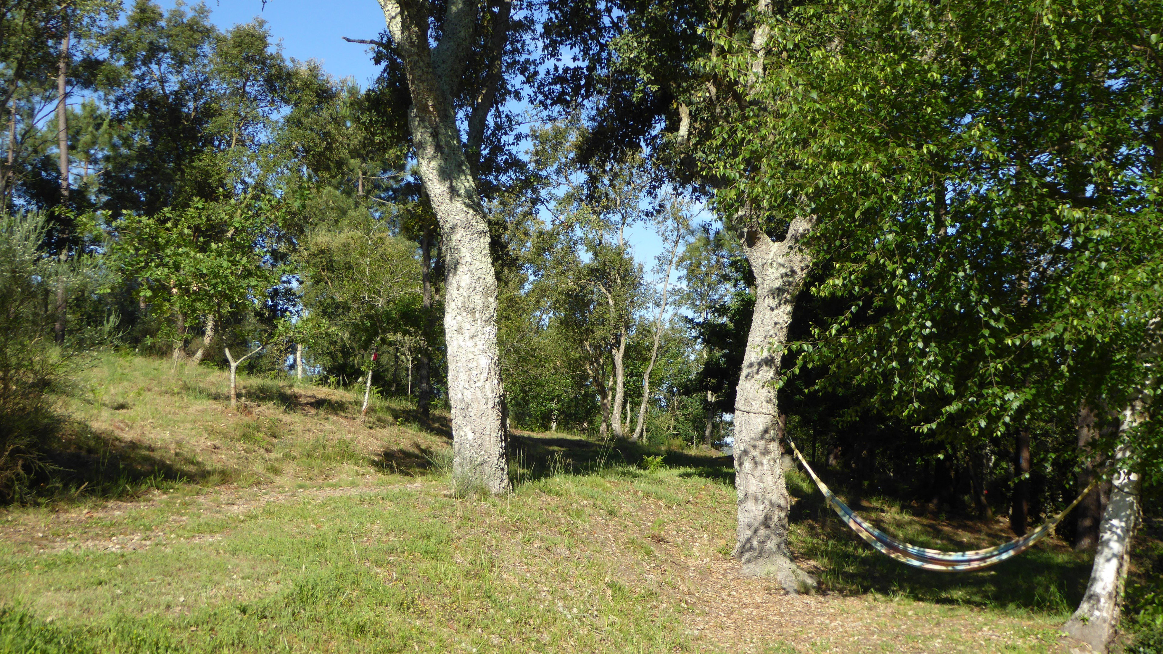 - image: 11