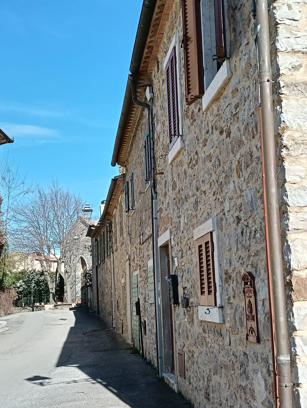- image: 61
