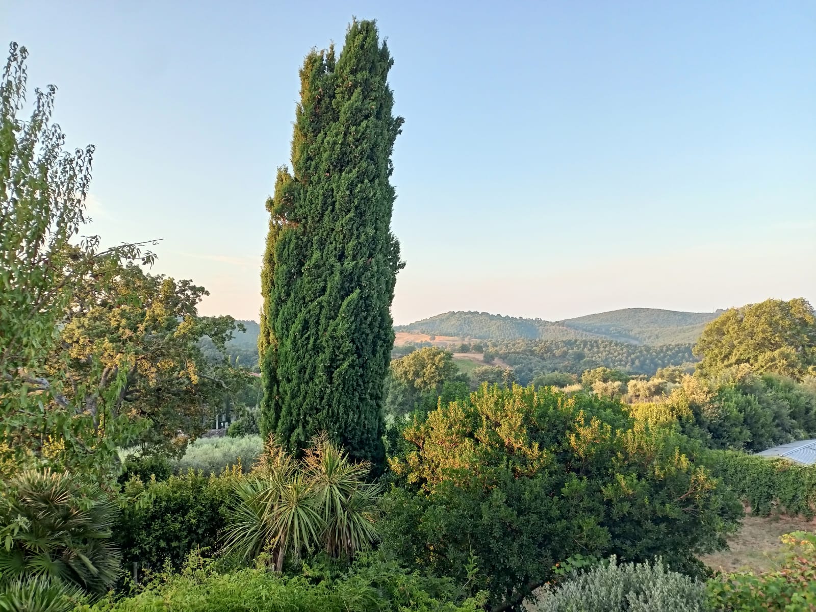 - image: 87