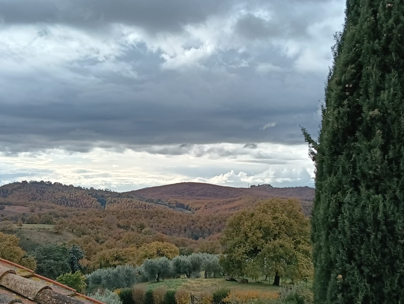 - image: 64