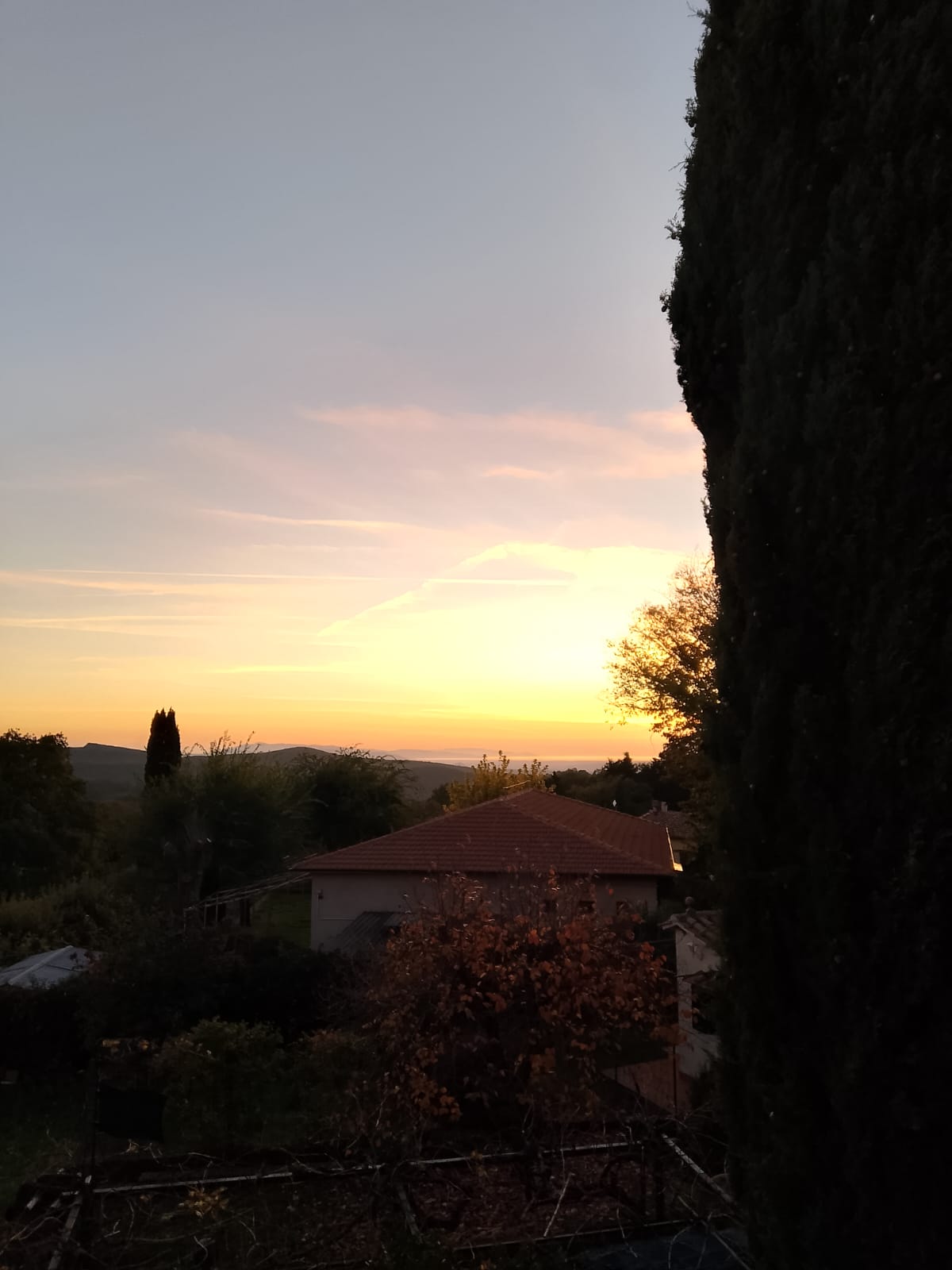 - image: 72