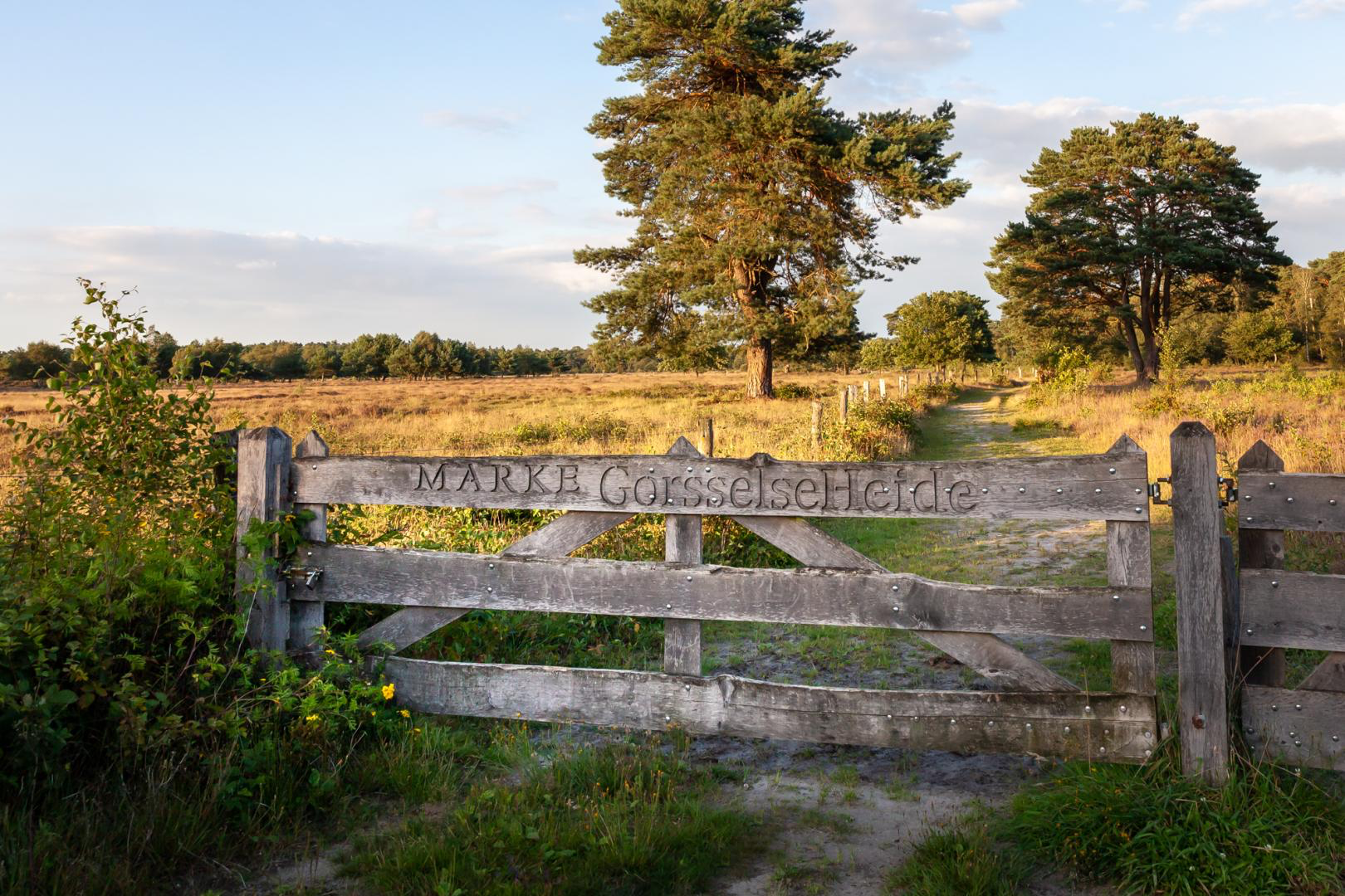 Casa nella natura a Gorssel