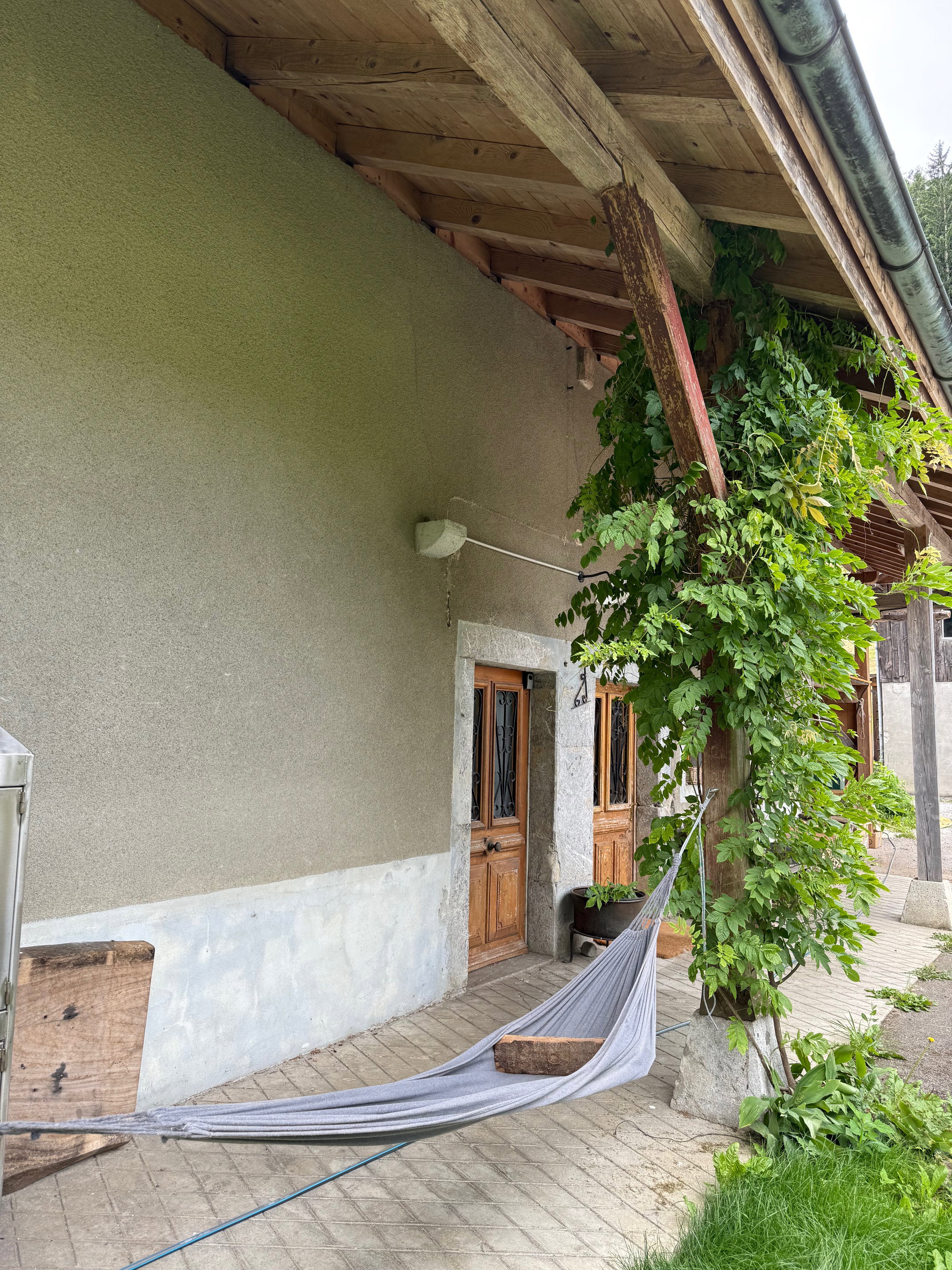 - image: 71