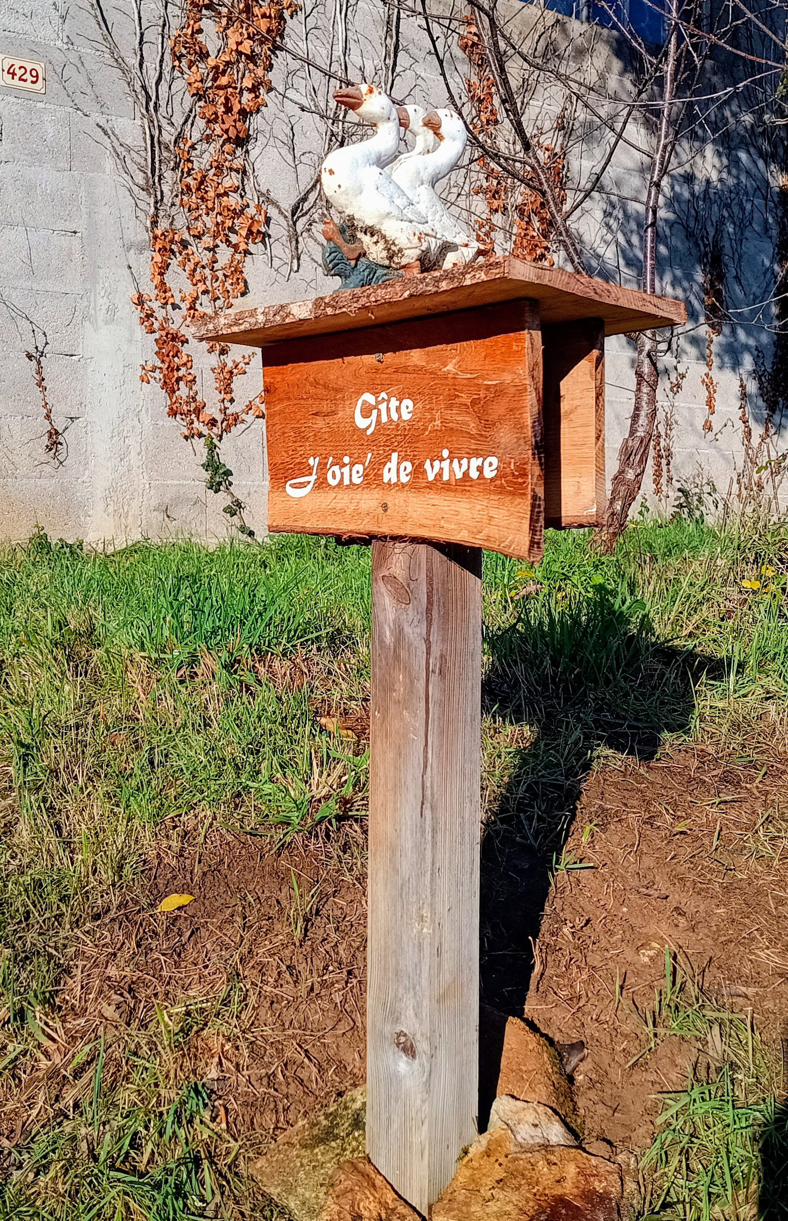 - image: 13
