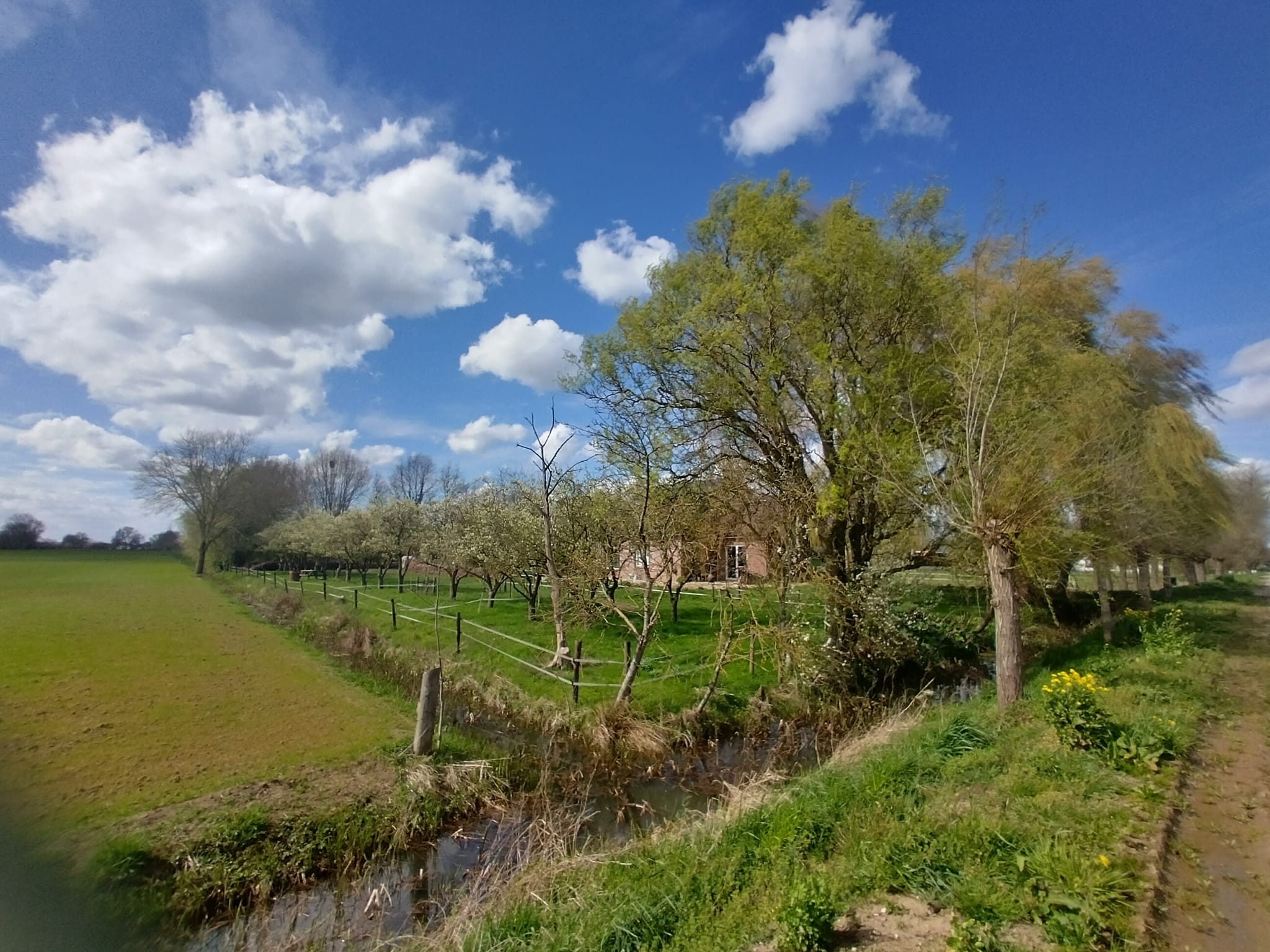 Natuurhuisje in Nijbroek