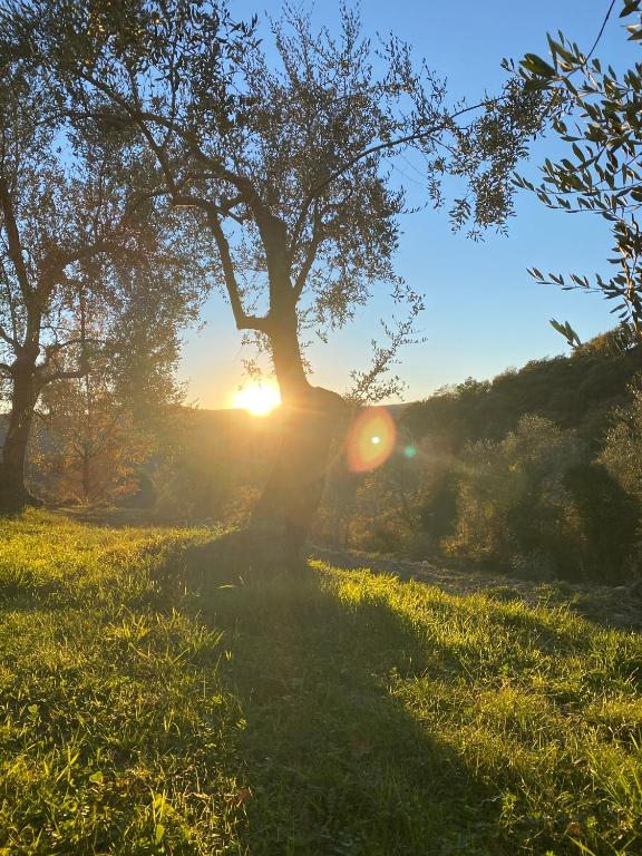 Casa nella natura a Chiusanico