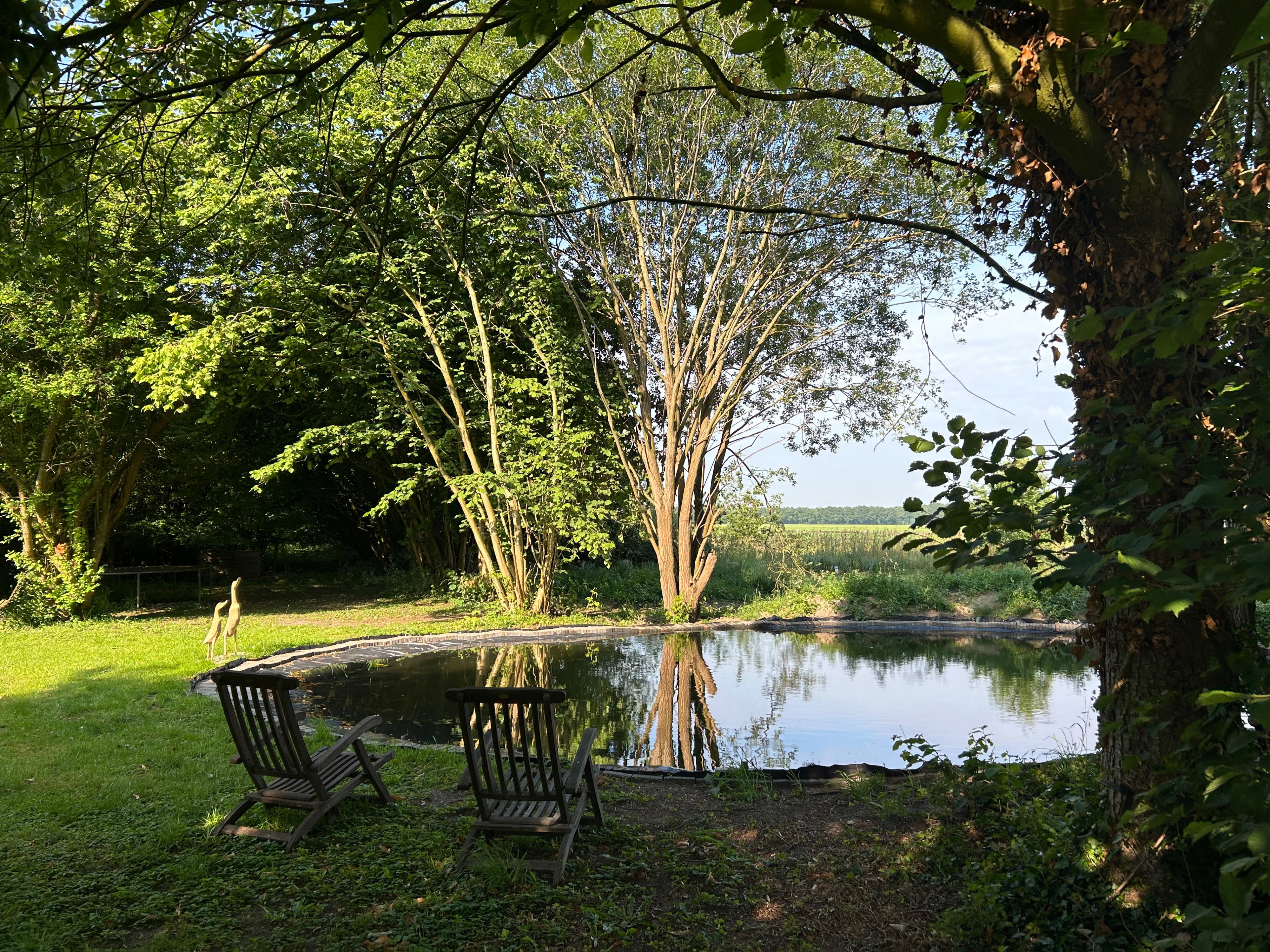Natuurhuisje in Orvelte