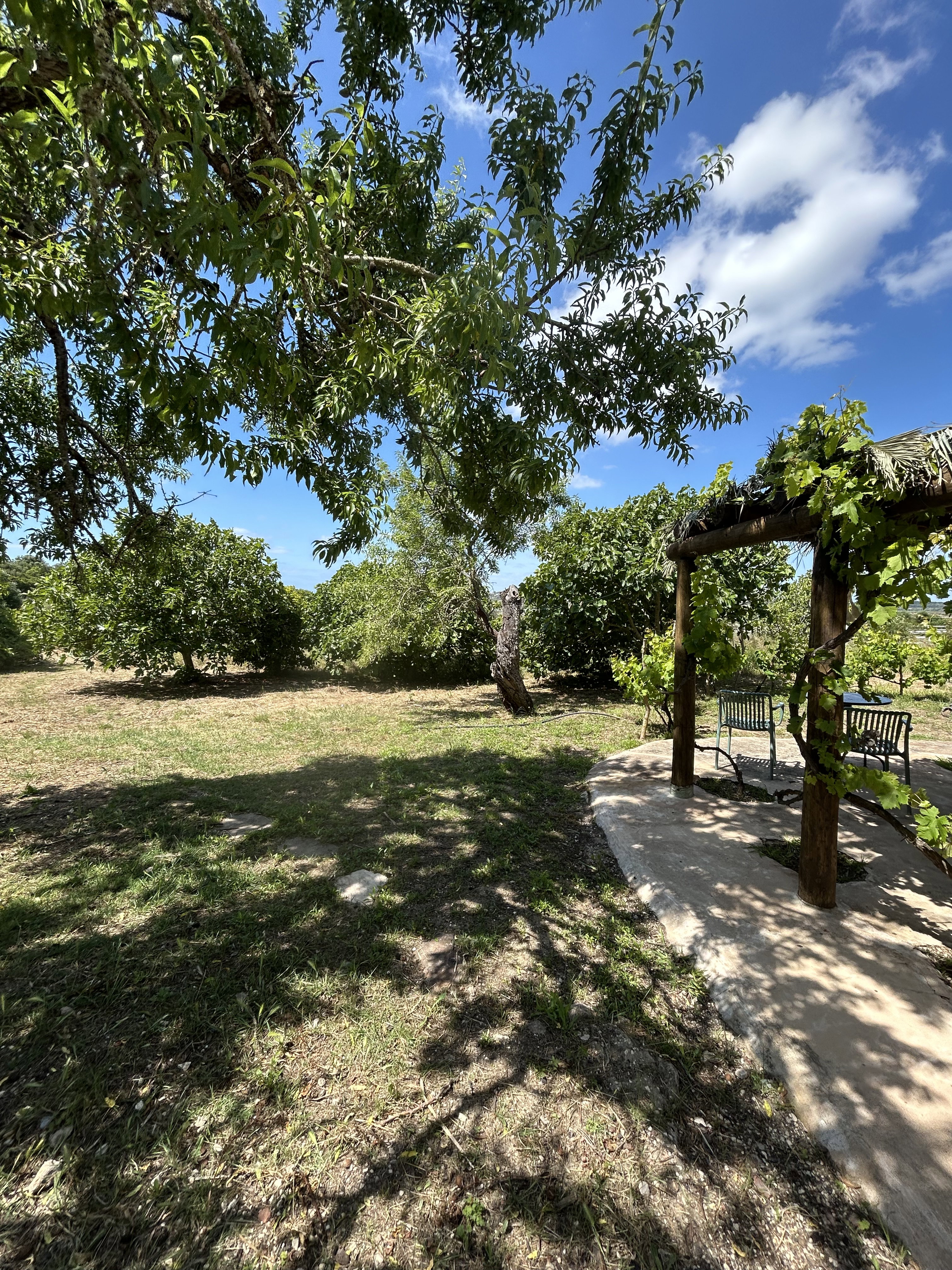 Natuurhuisje in Mexilhoeira Grande (Portimão)