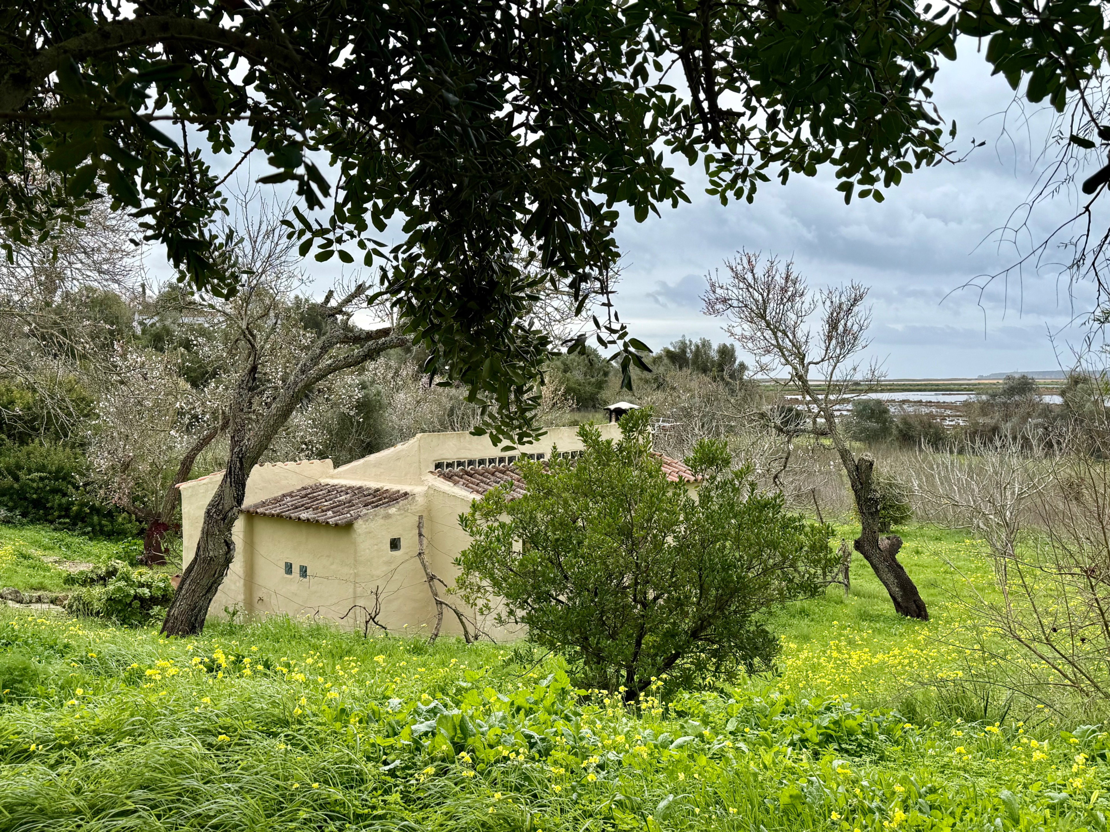 - image: 15