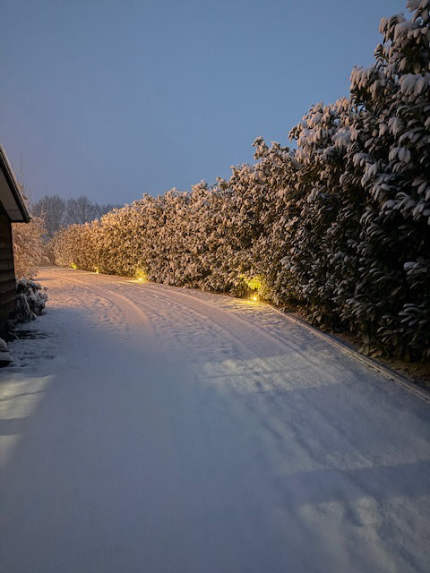 - image: 26