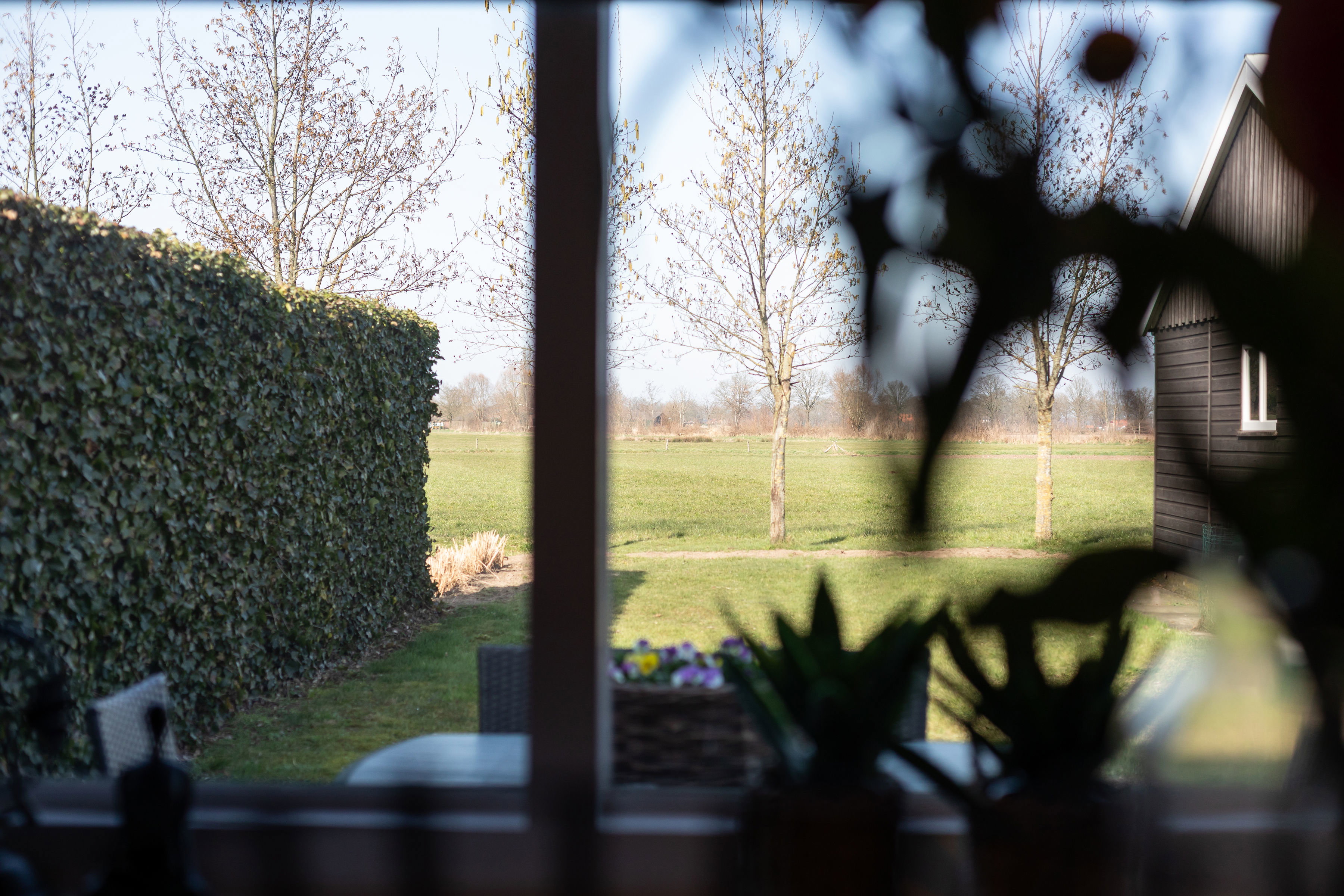 Maison nature à Aalten