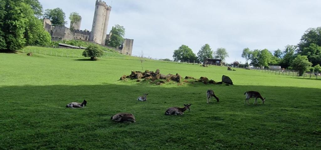 Natuurhuisje in Pelm
