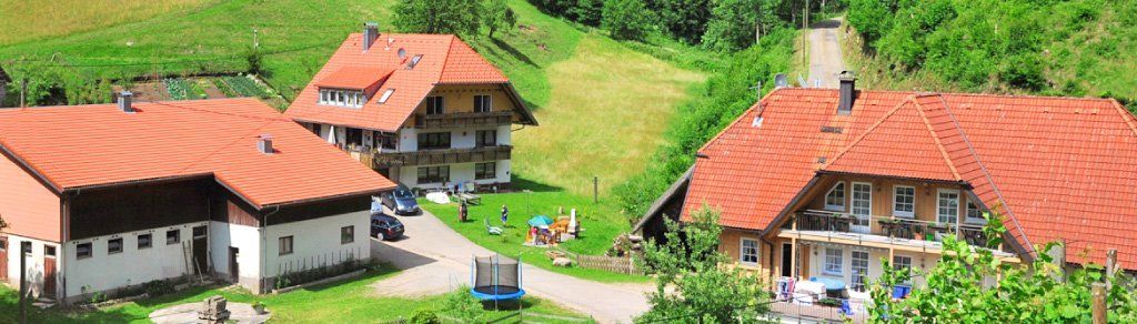 Casa nella natura a Wolfach