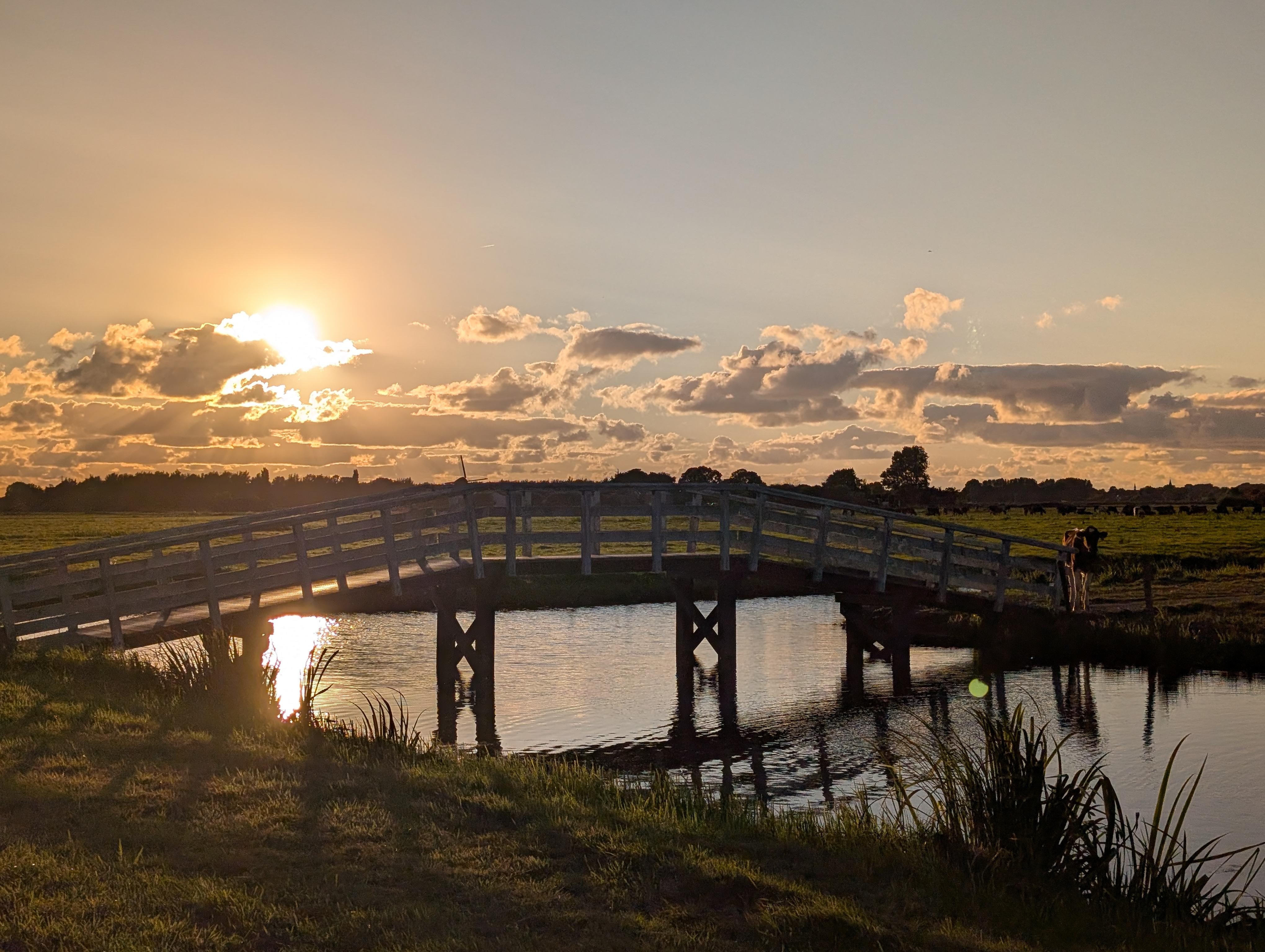 Natuurhuisje in Warmond