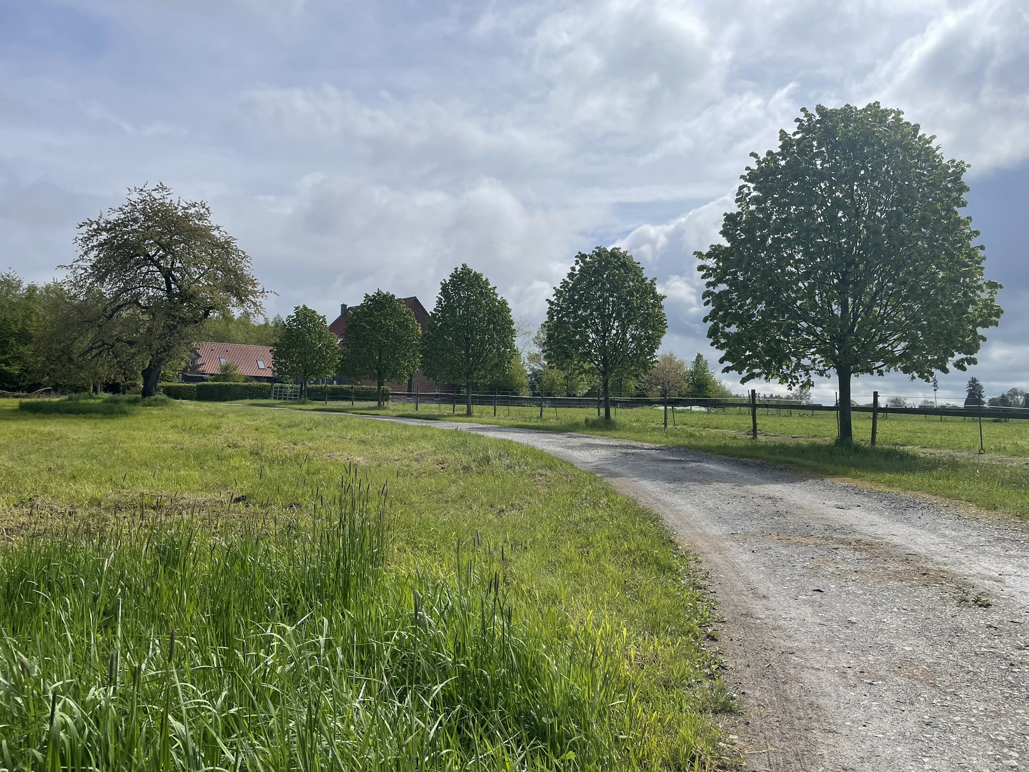 Natuurhuisje in Halle / Westfalen