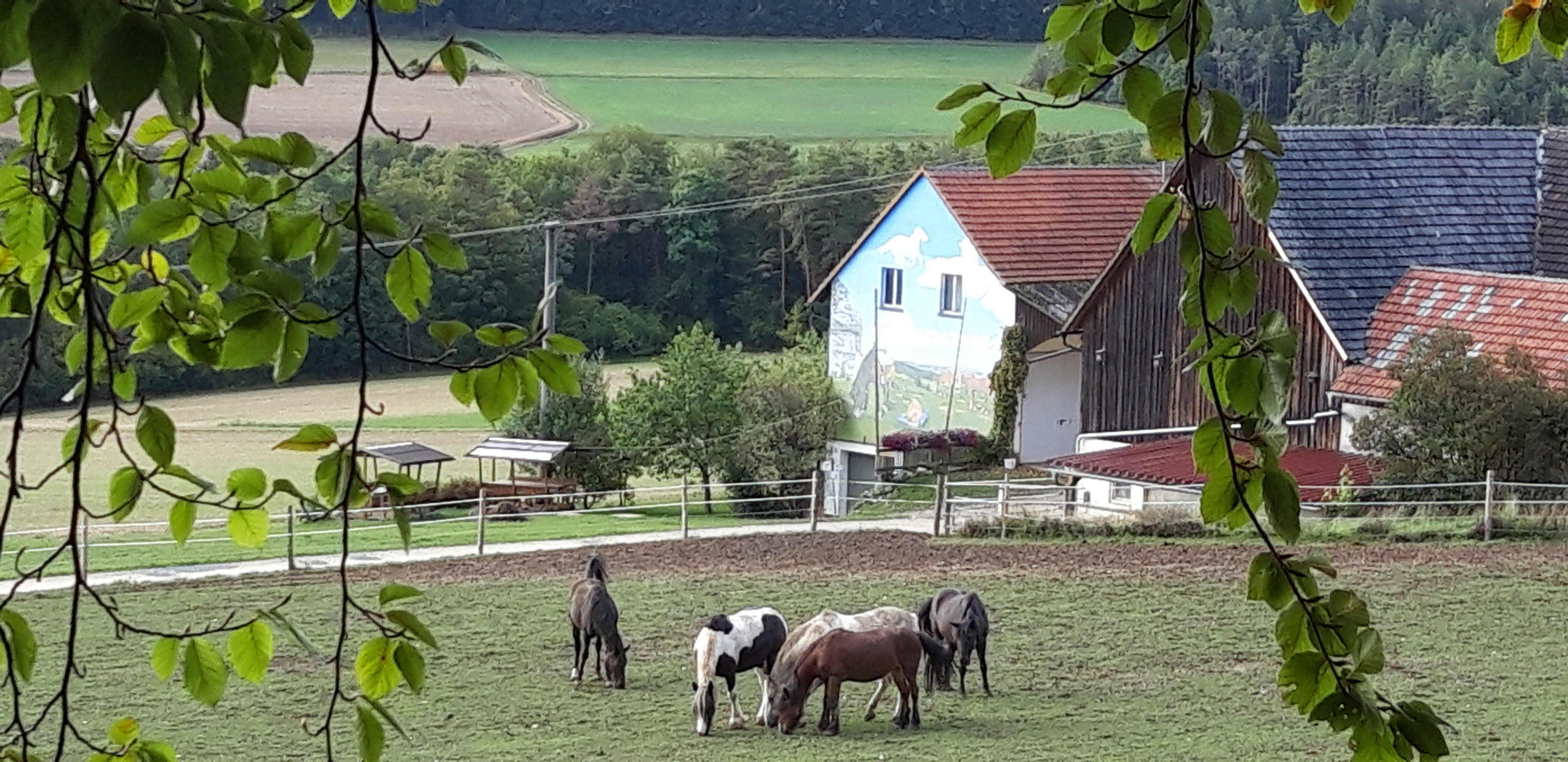 Natuurhuisje in Weismain