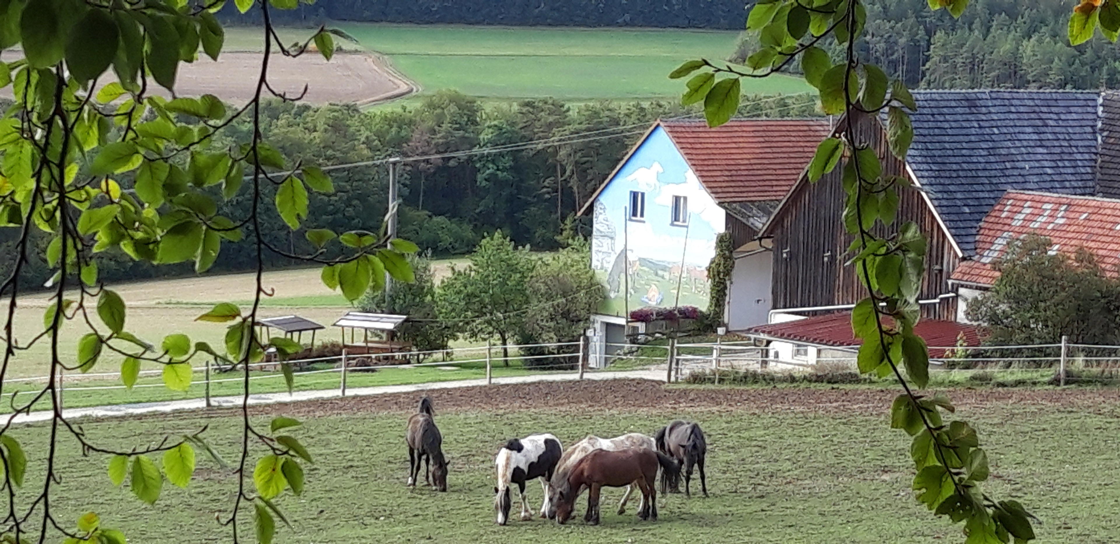 Nature house in Weismain