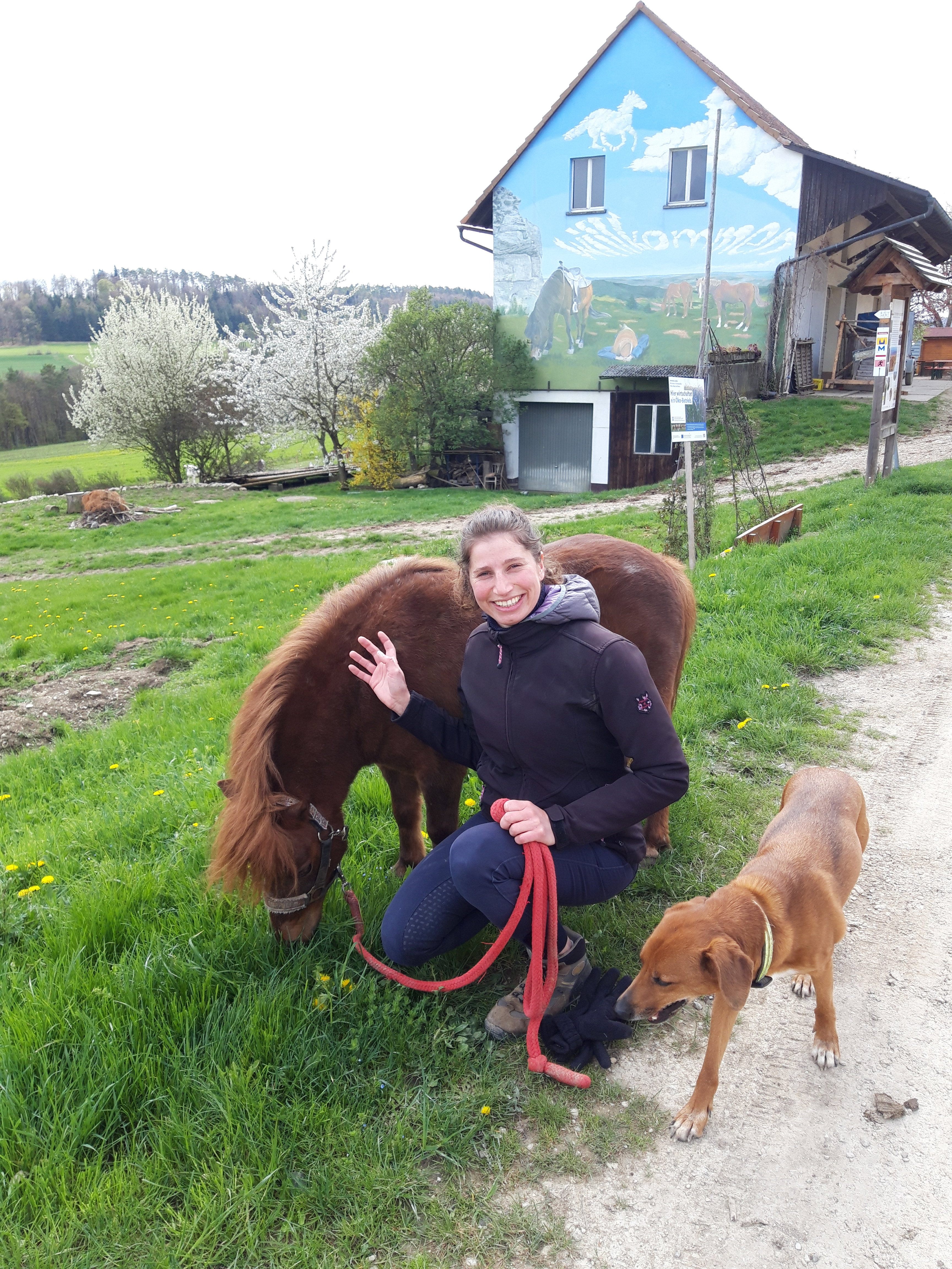 Natuurhuisje in Weismain