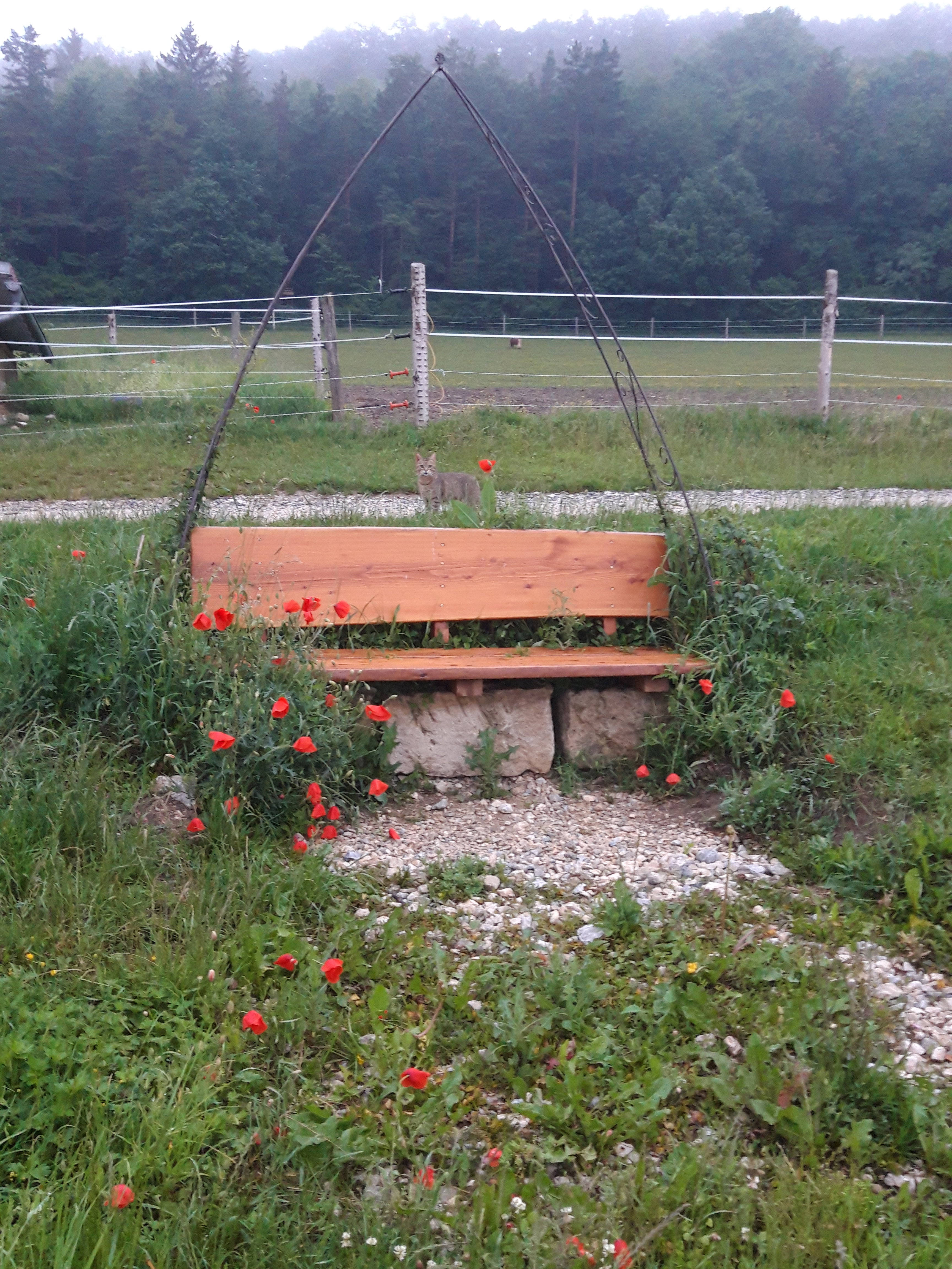 Natuurhuisje in Weismain