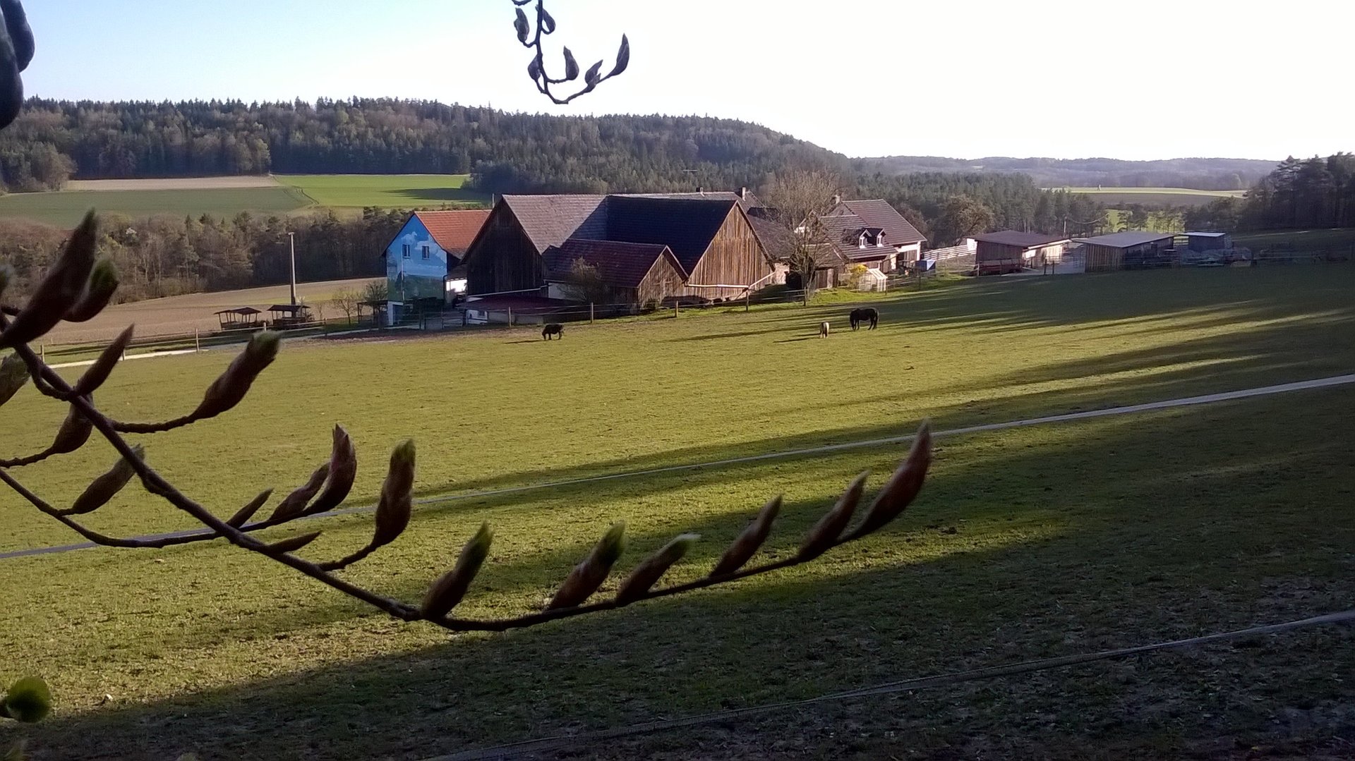 Natuurhuisje in Weismain