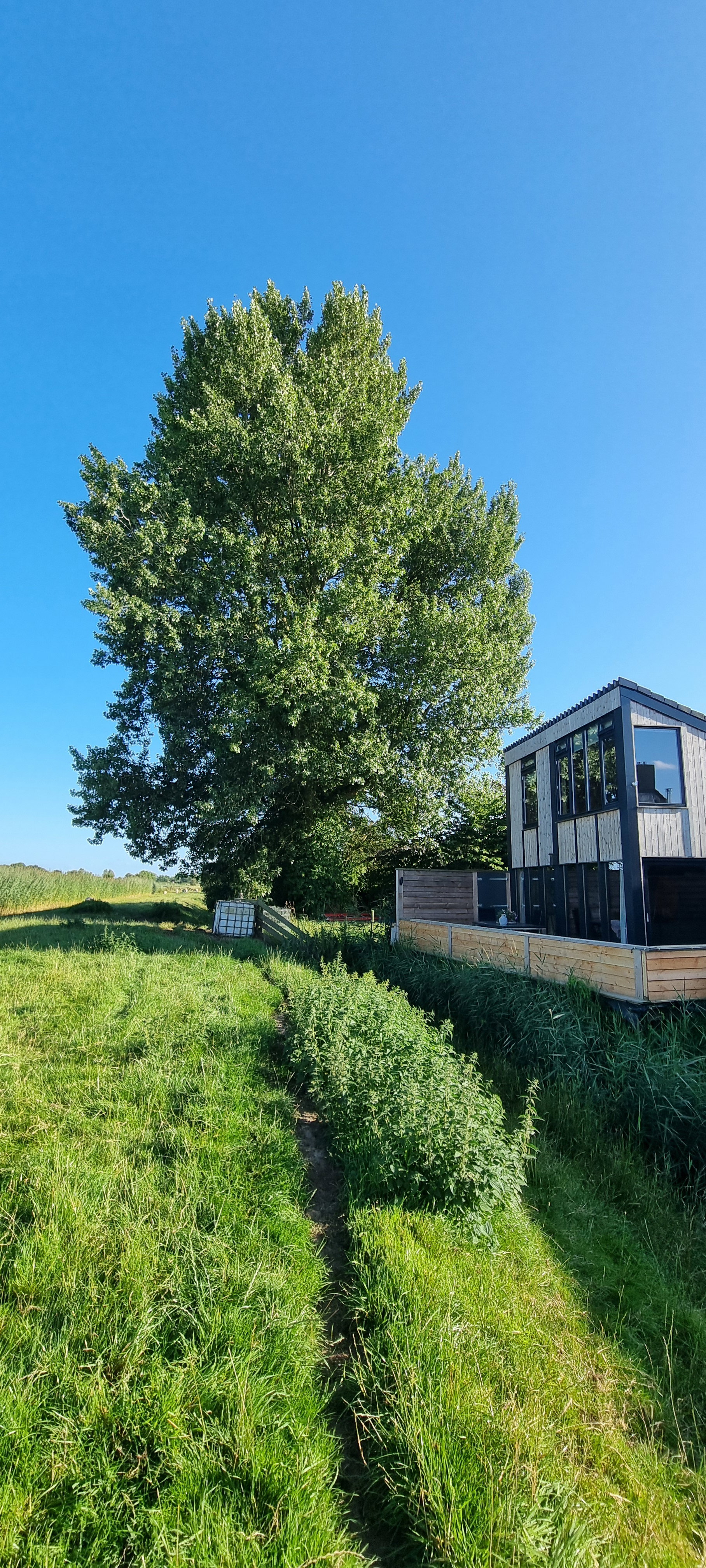 Naturhäuschen in Kollum
