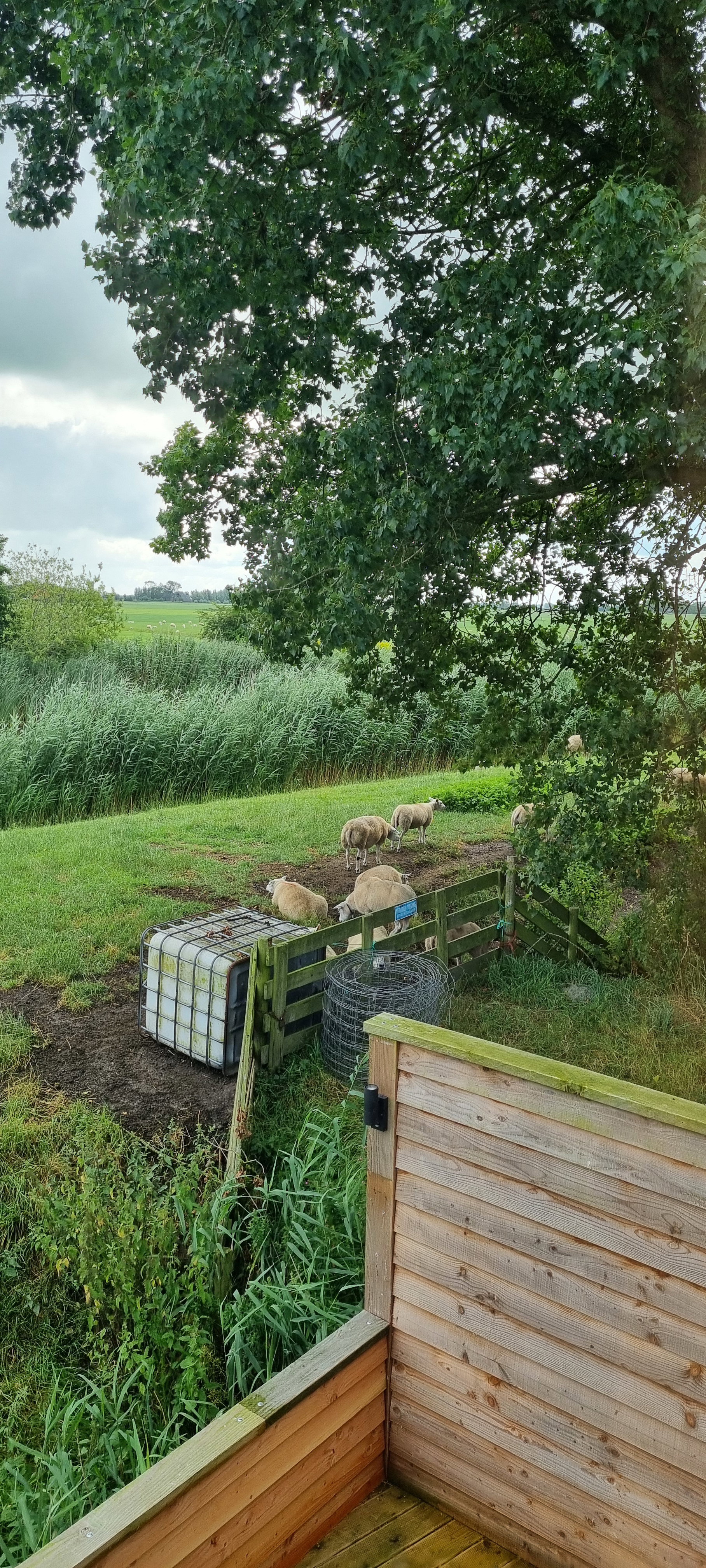 Naturhäuschen in Kollum