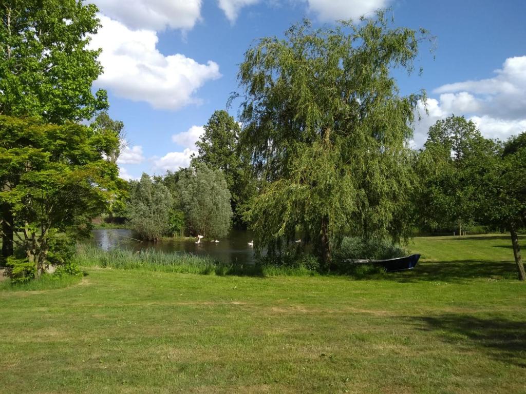 - image: 16