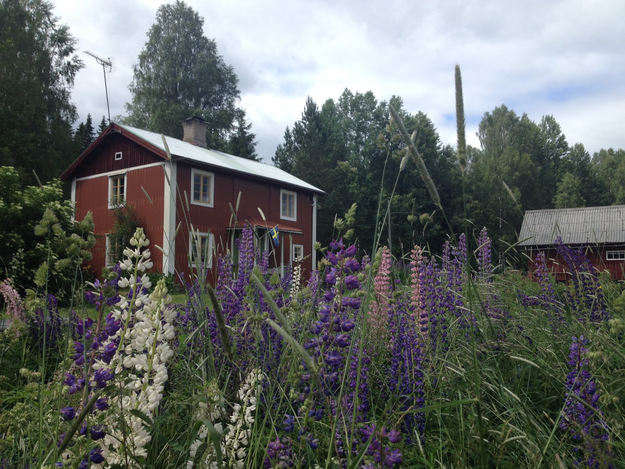 Casa nella natura a Hällefors
