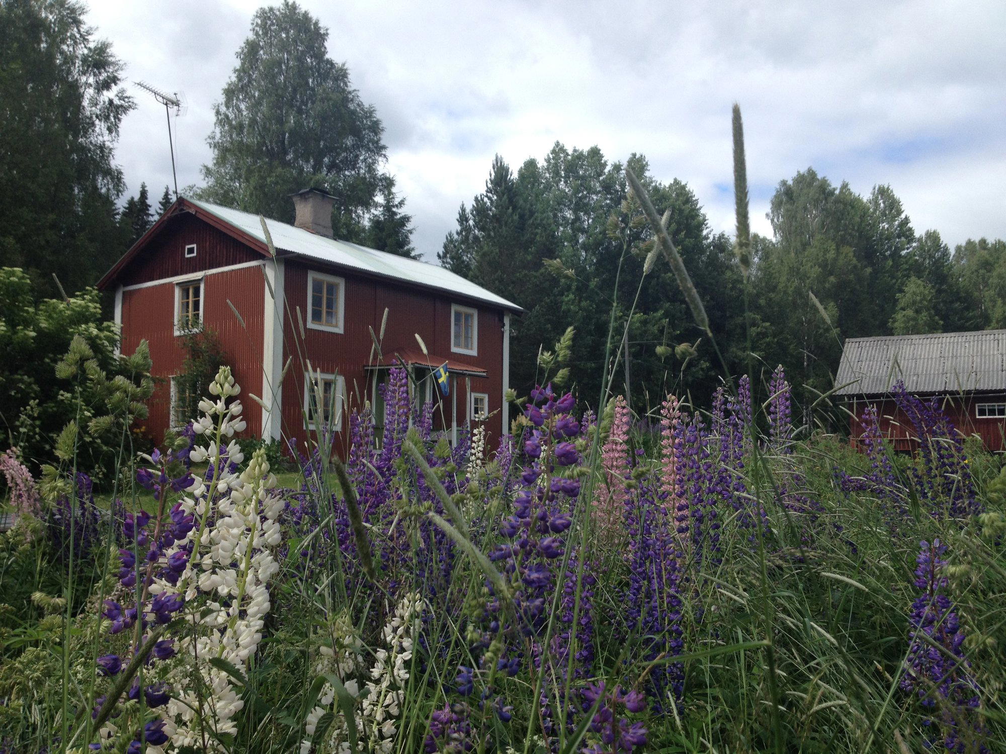 Nature house in Hällefors