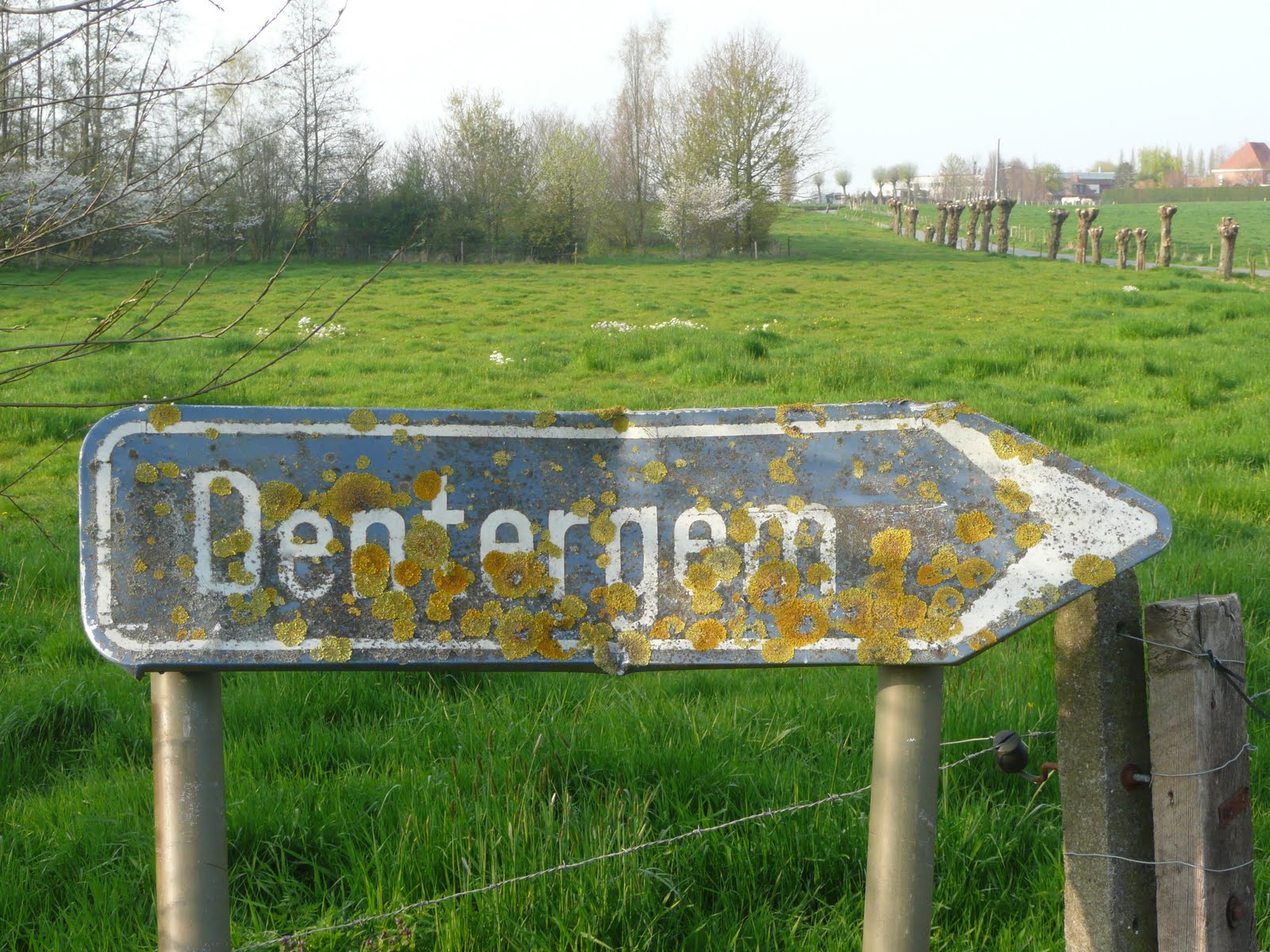 Casa nella natura a DENTERGEM