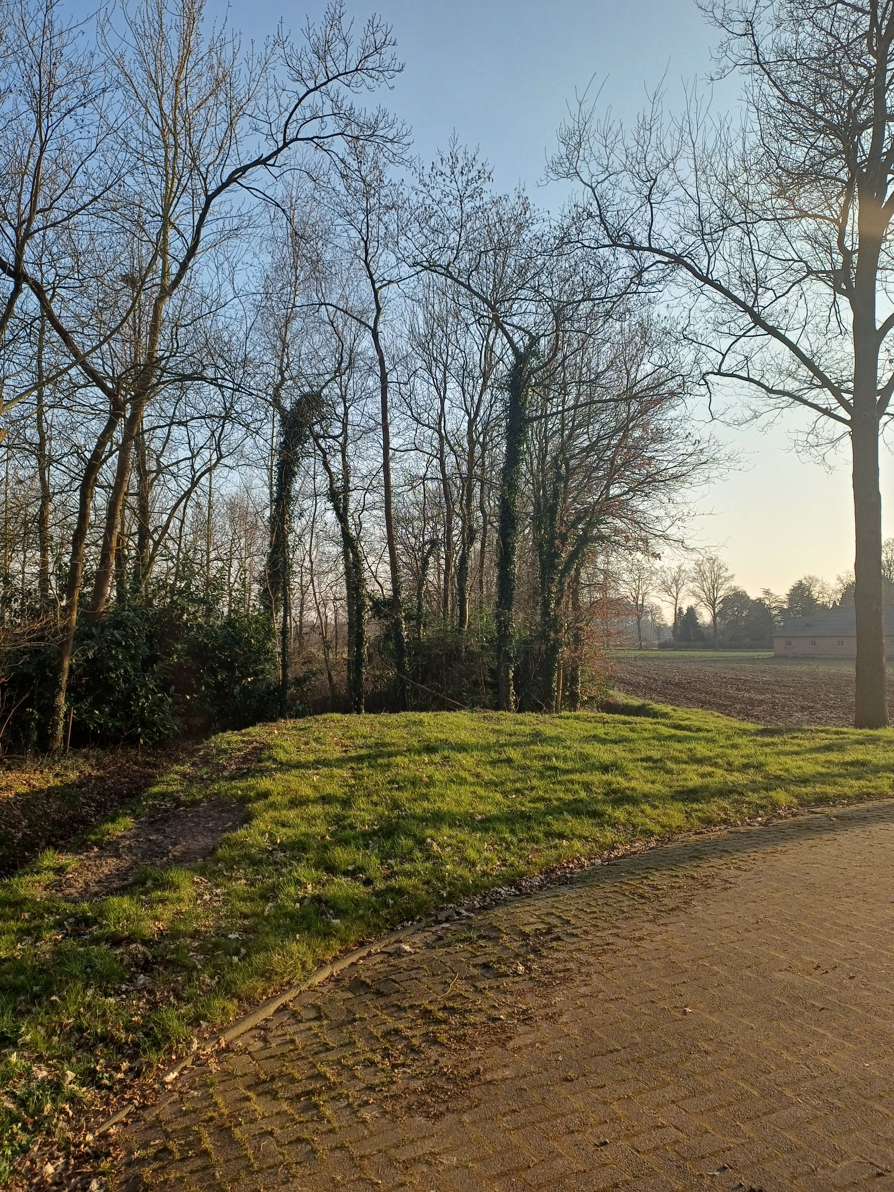 Natuurhuisje in Boxtel