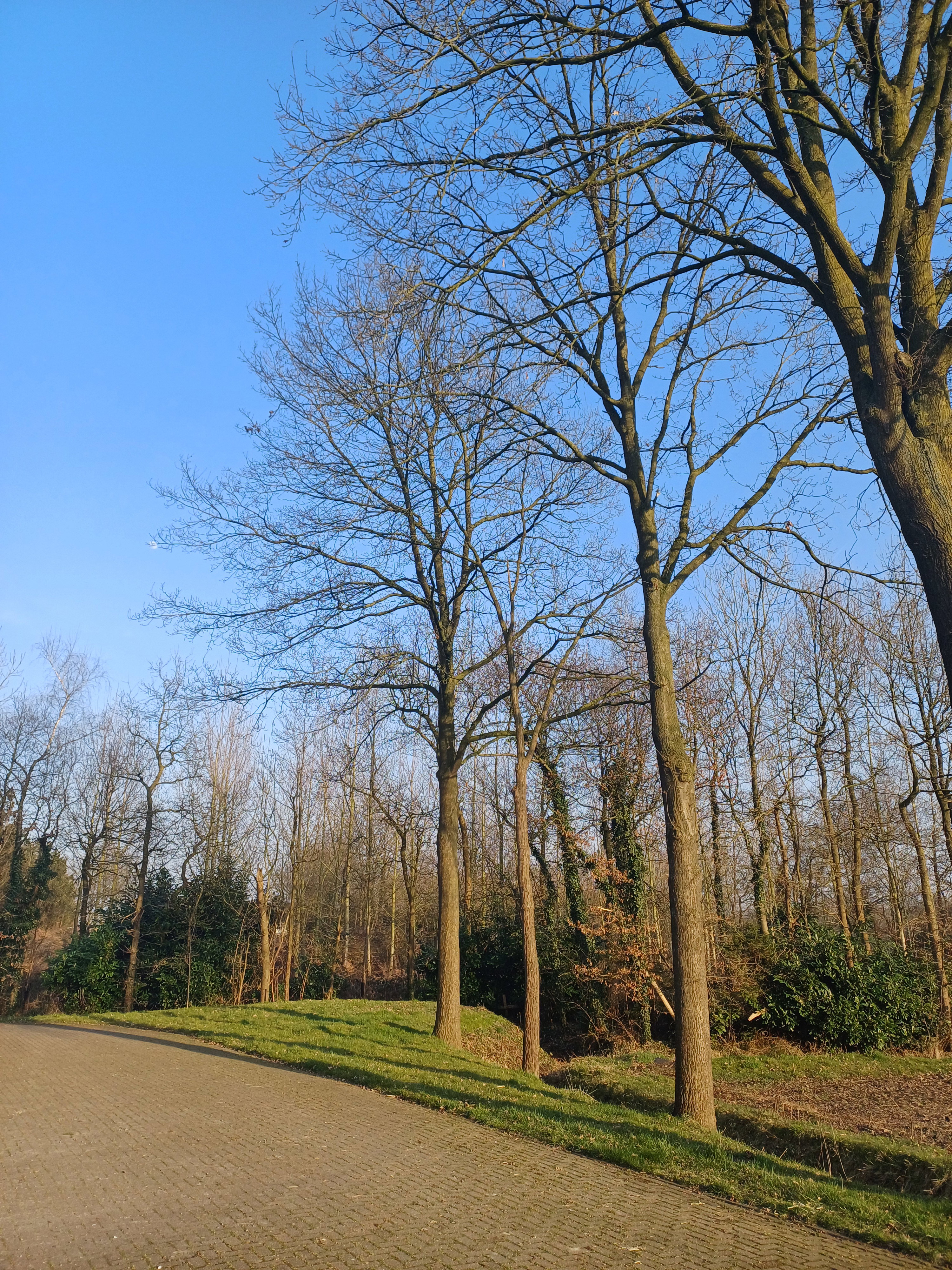 Natuurhuisje in Boxtel