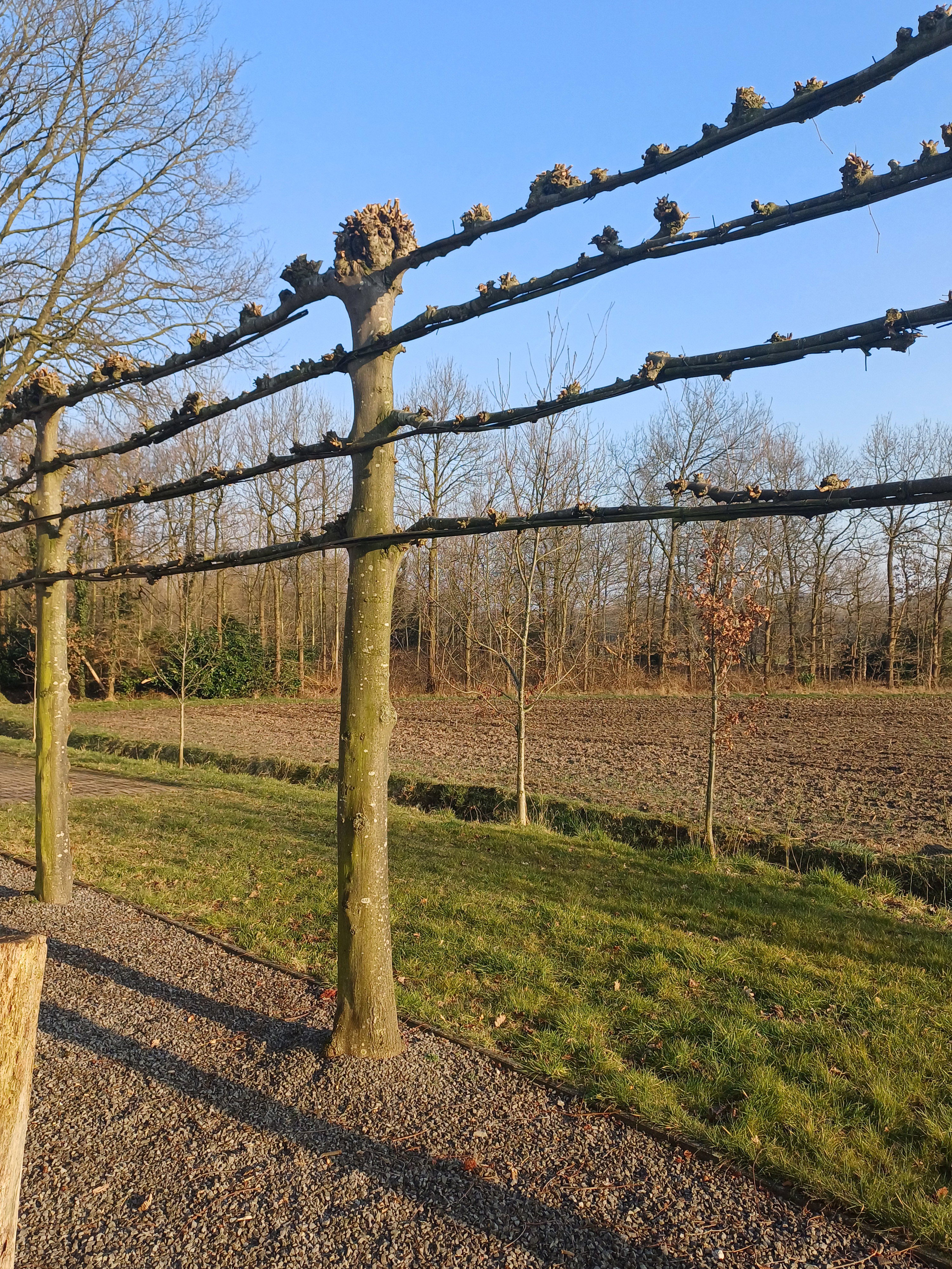 Natuurhuisje in Boxtel