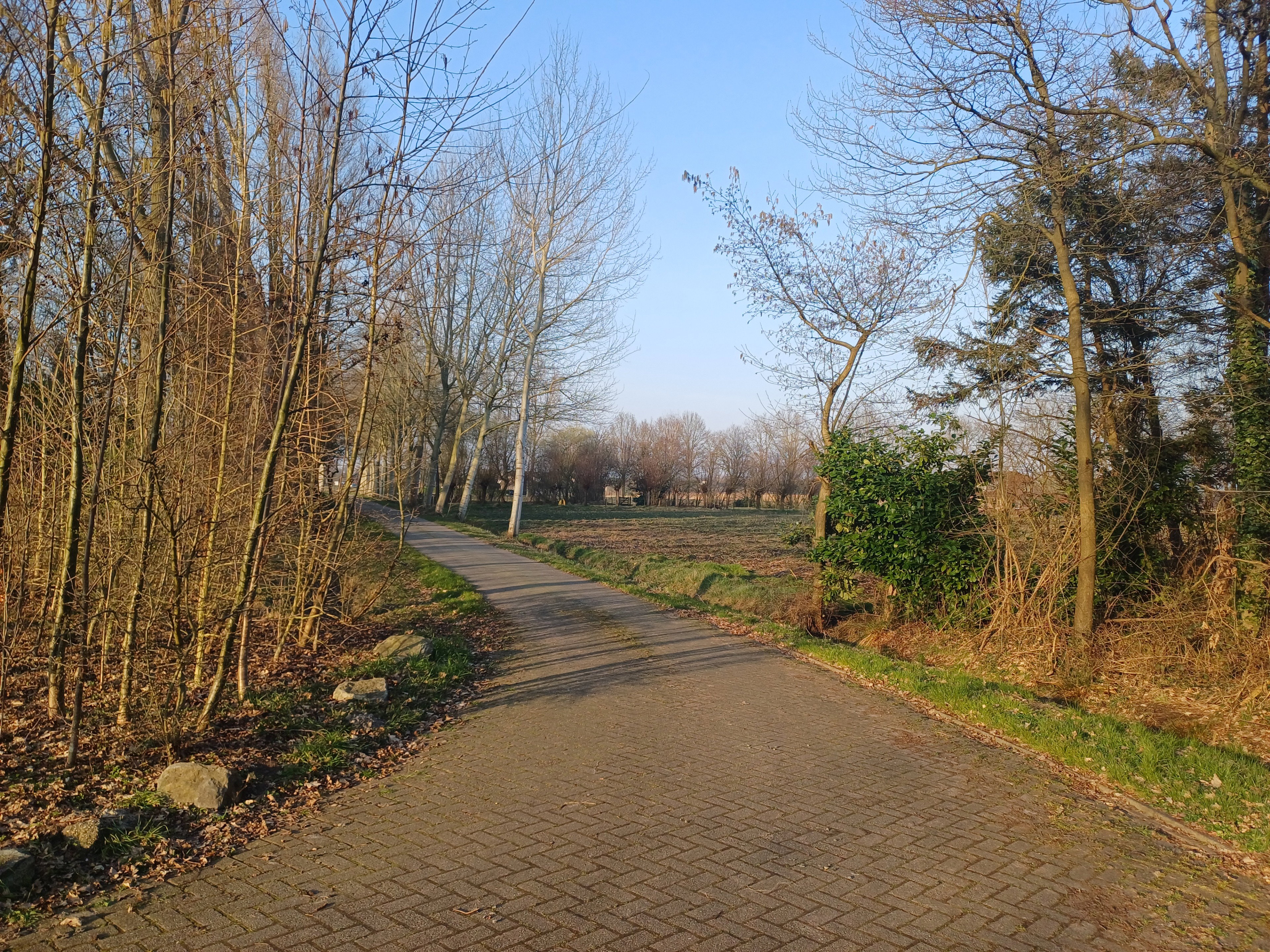 - image: 11