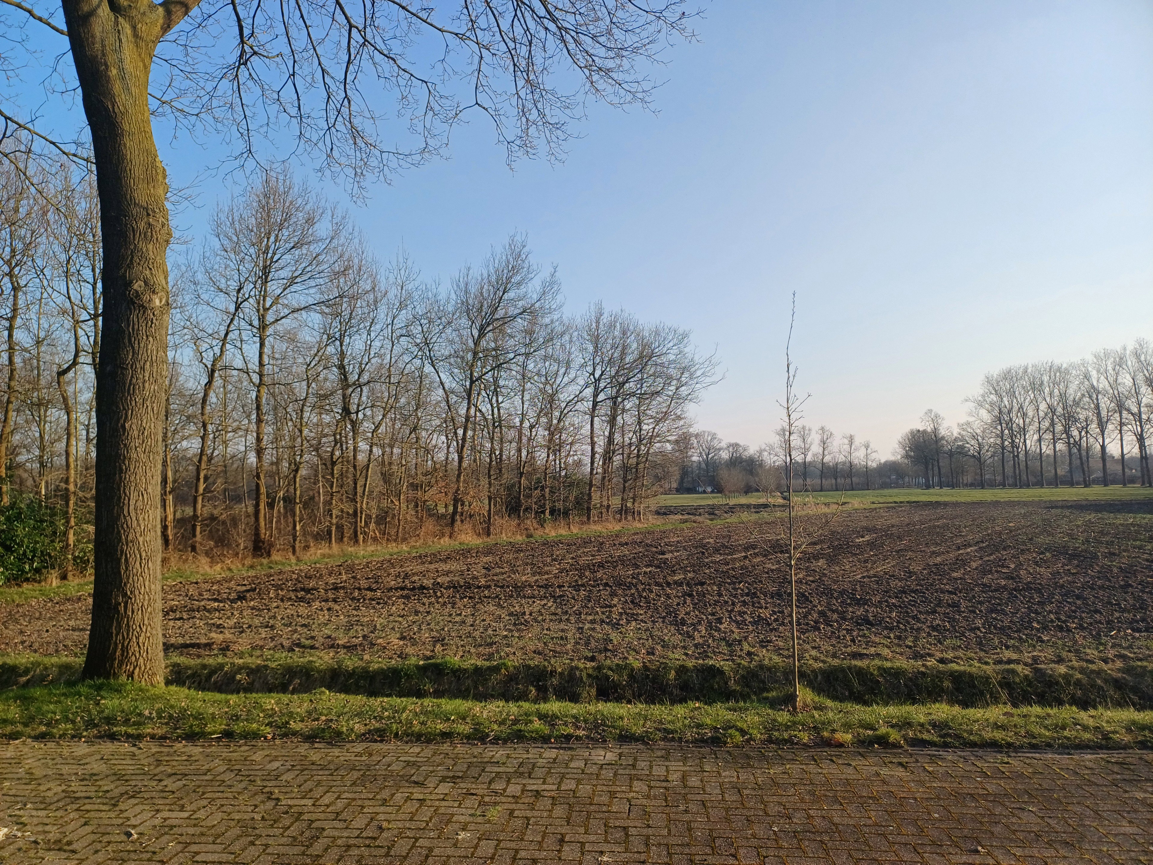 Natuurhuisje in Boxtel