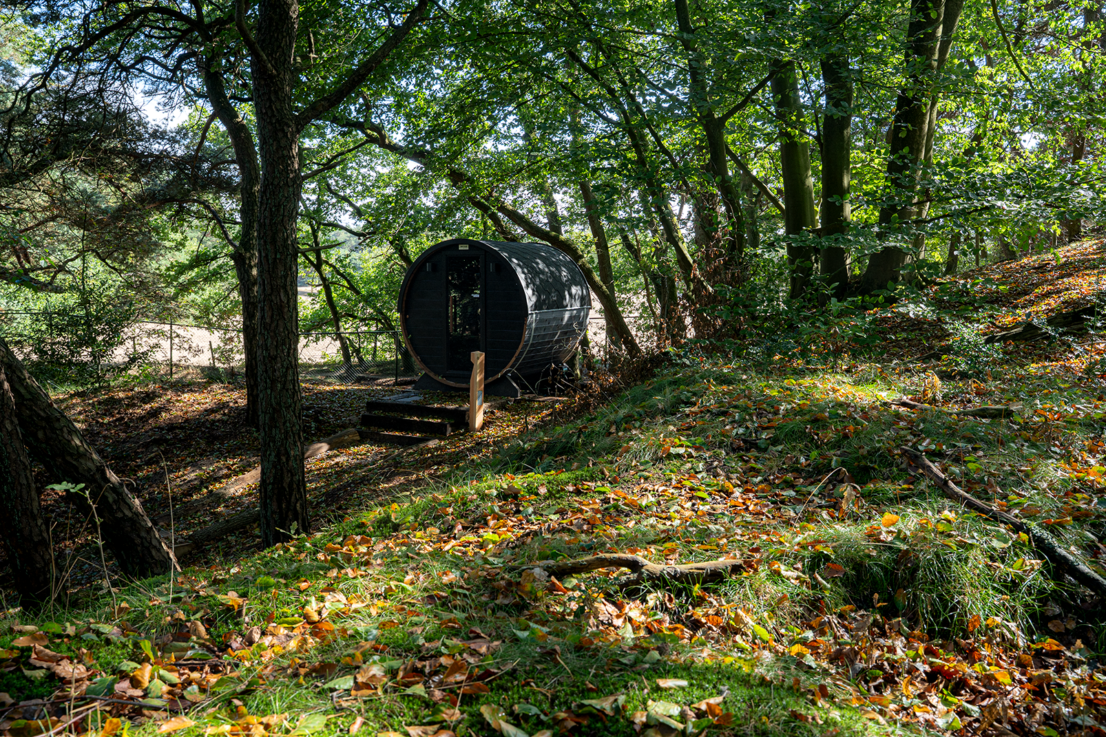 Natuurhuisje in Soest