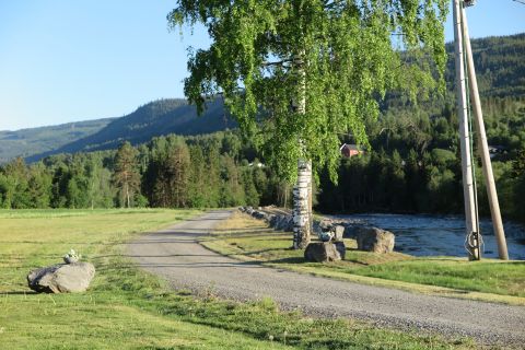 - image: 26
