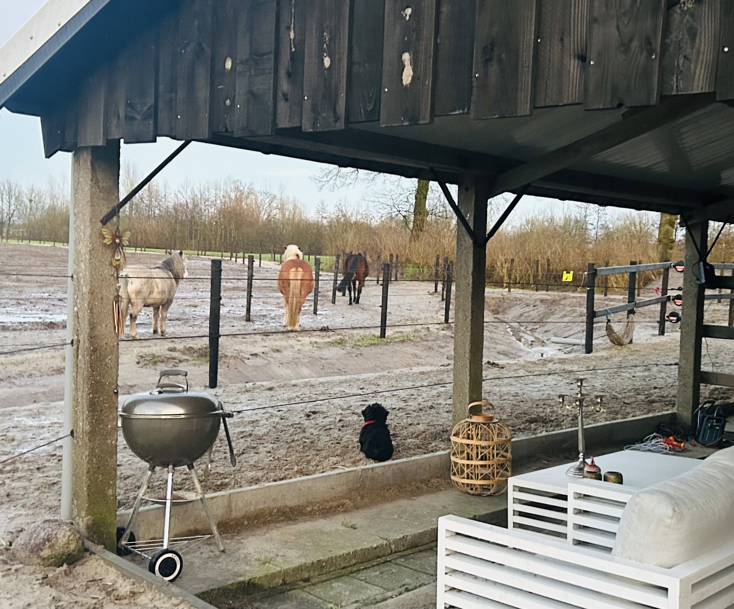 Natuurhuisje in Lochem