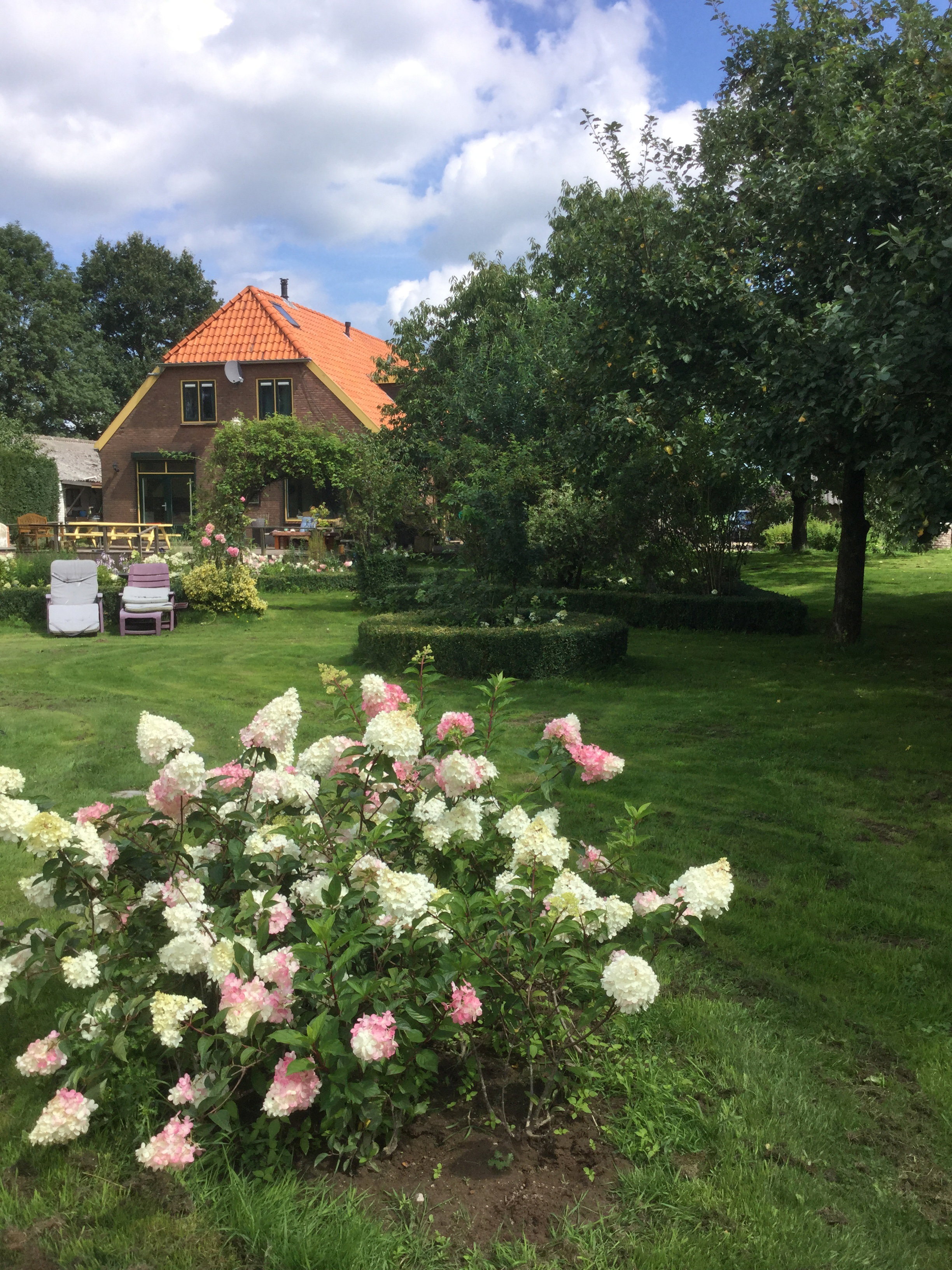 Naturhäuschen in Toldijk