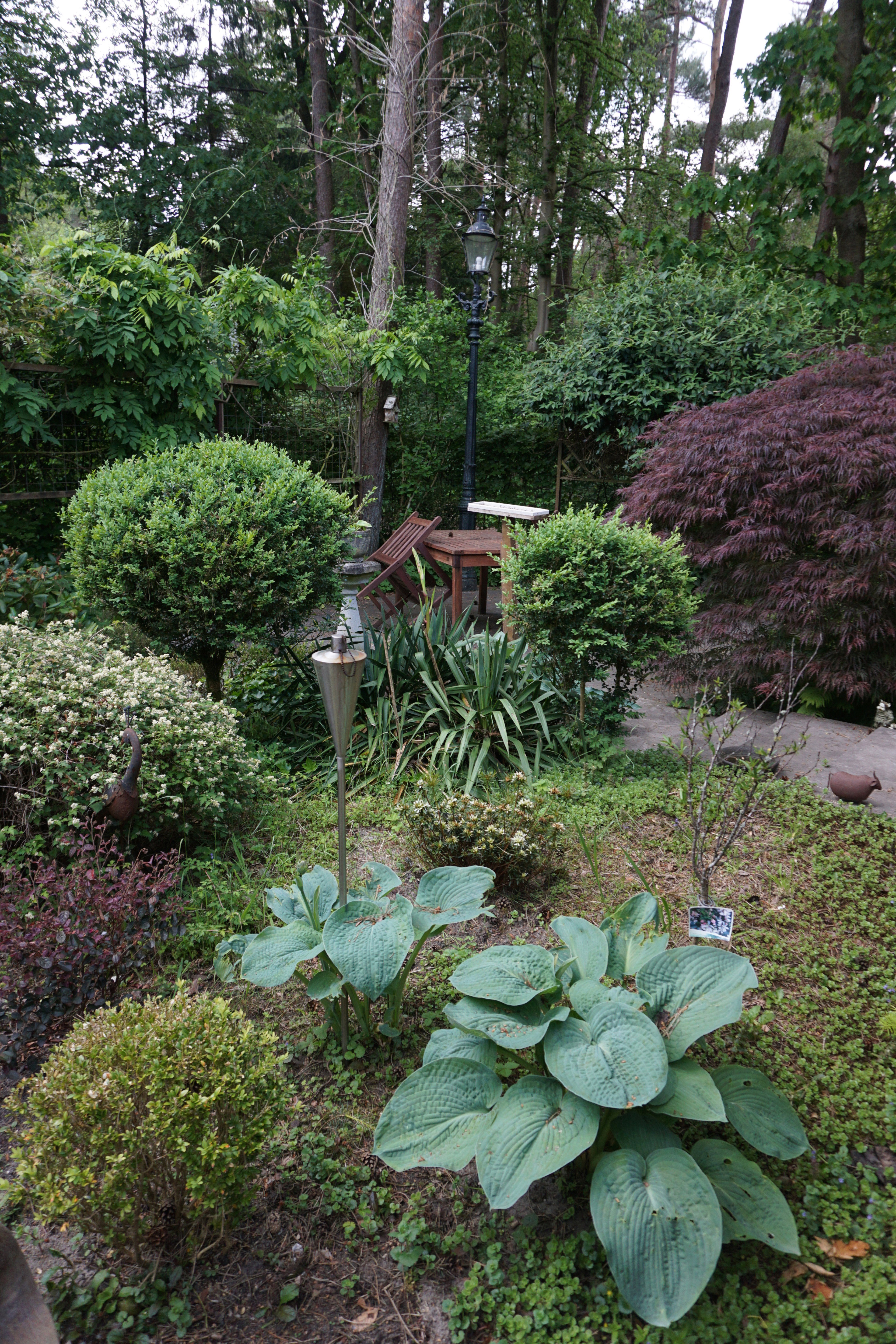 Casa nella natura a Doornspijk