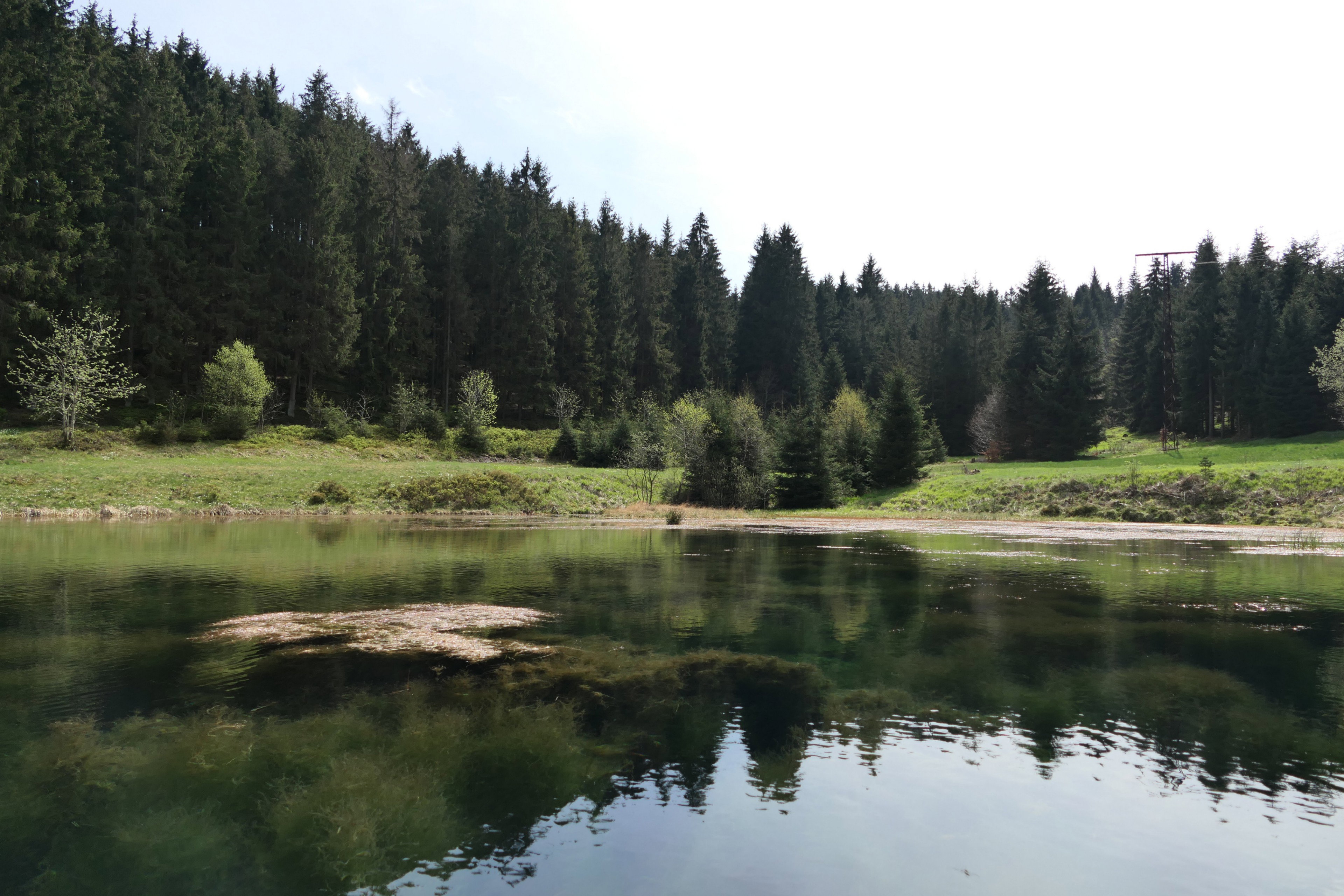 - image: 33