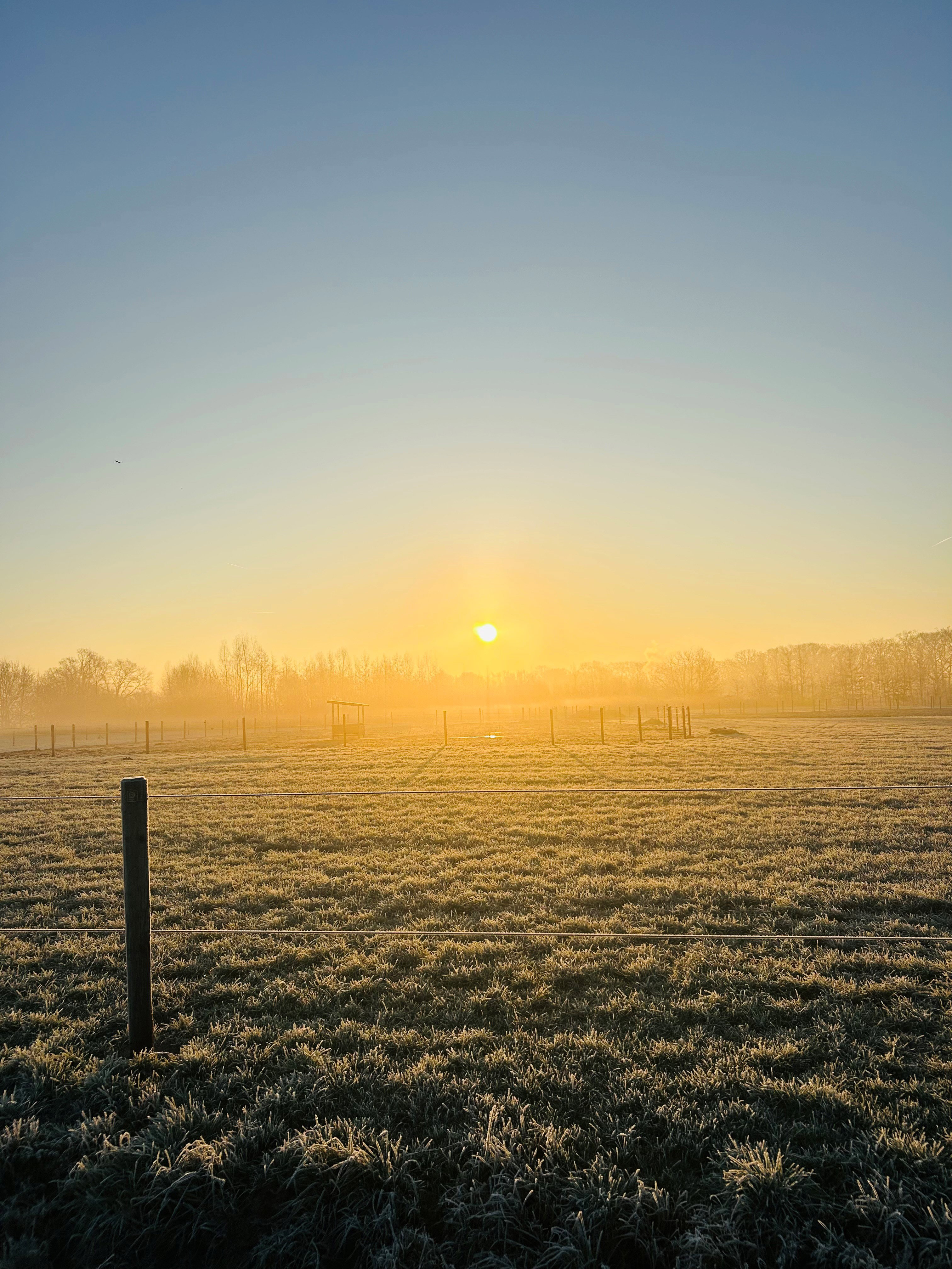 - image: 11