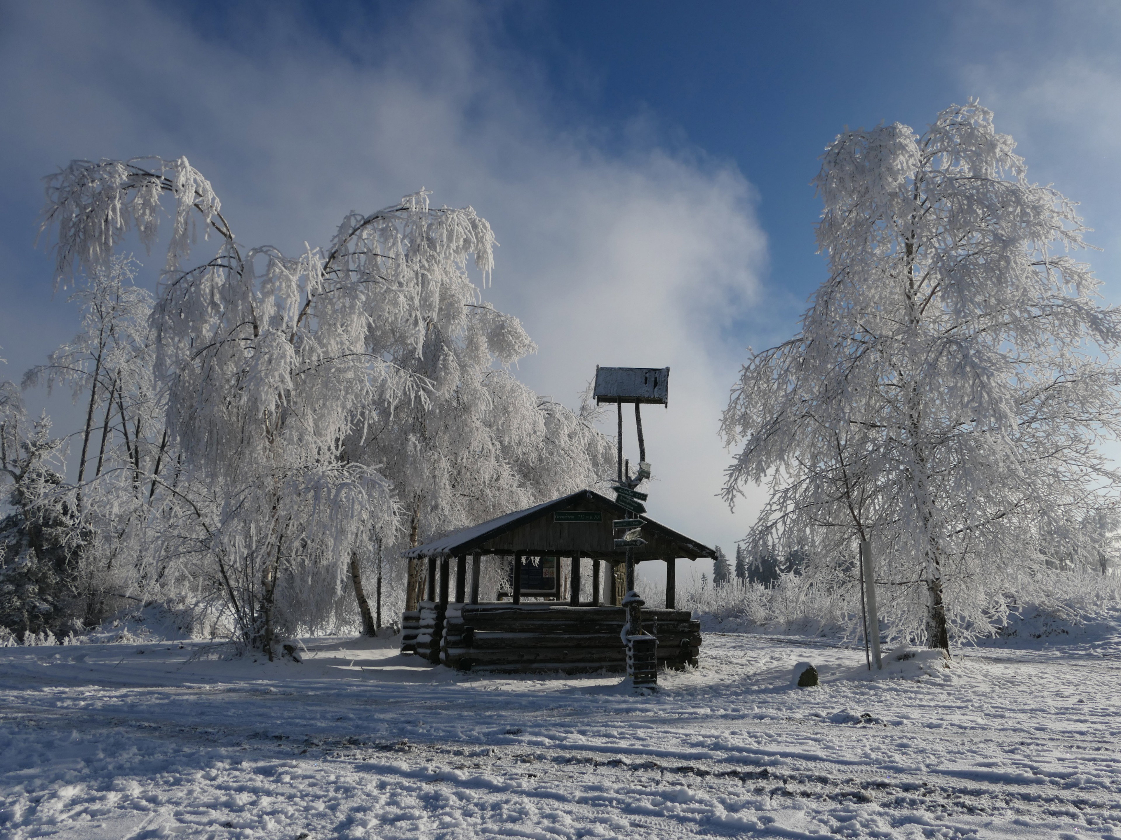 - image: 45