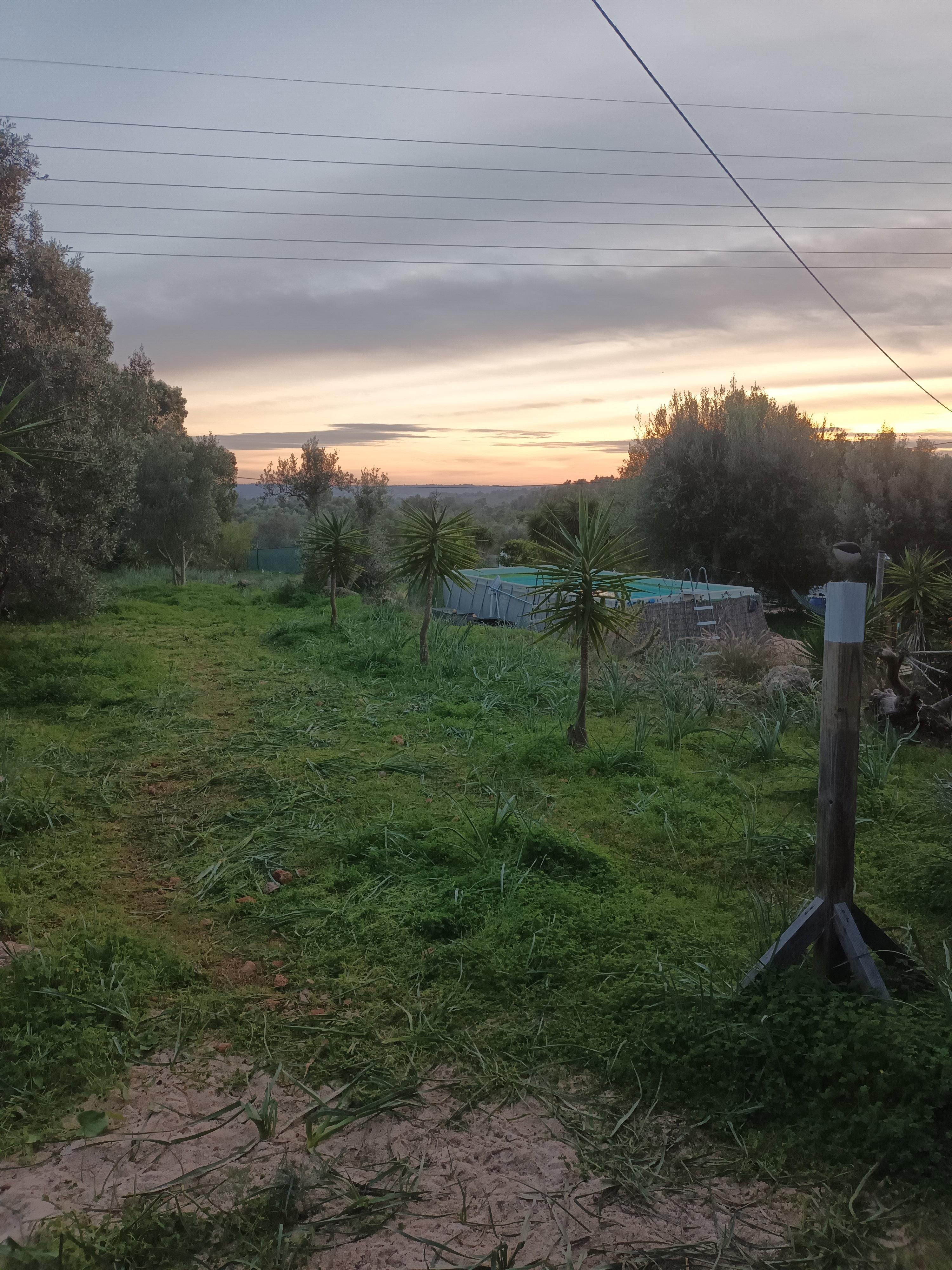 Nature house in Silves