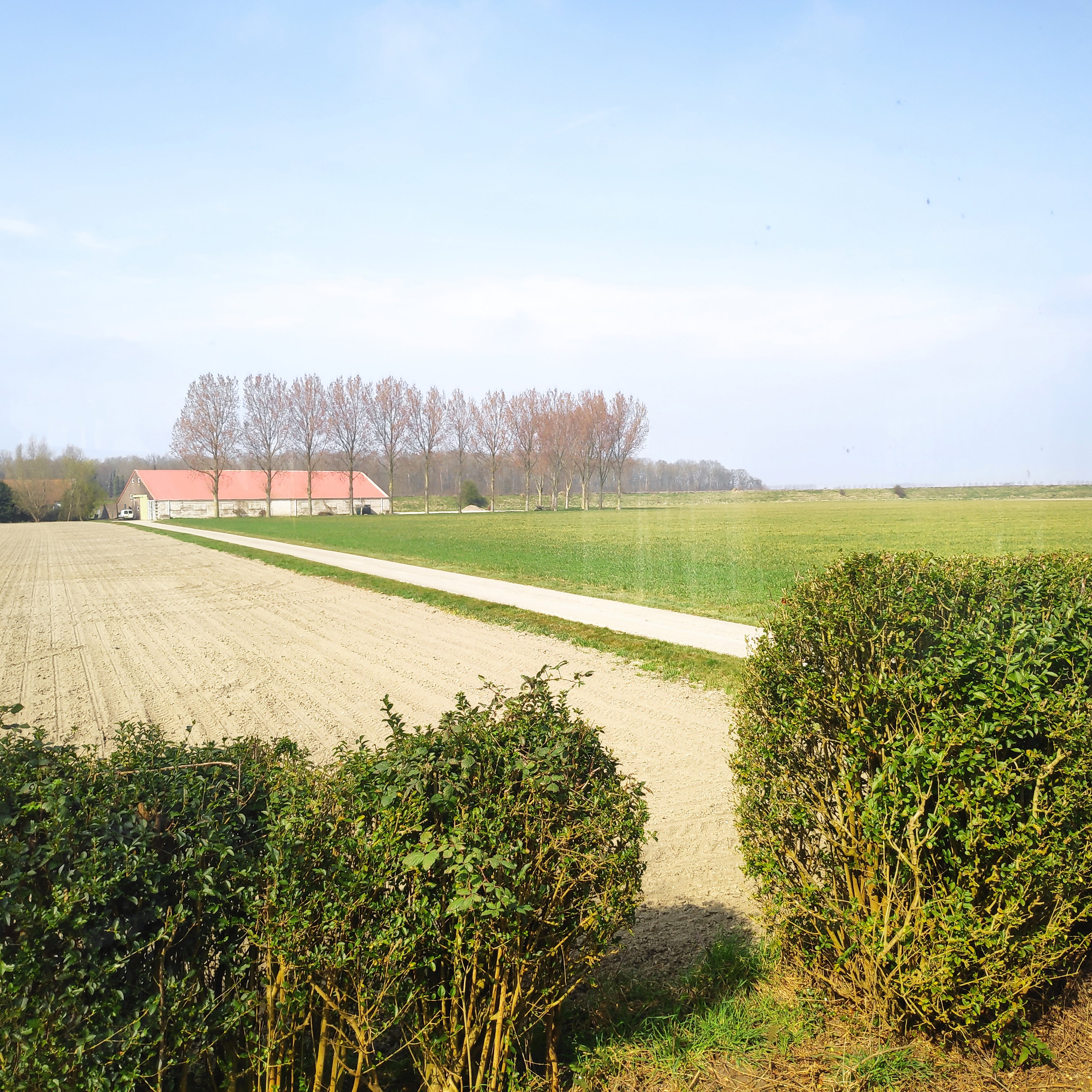 Casa nella natura a Wolphaartsdijk