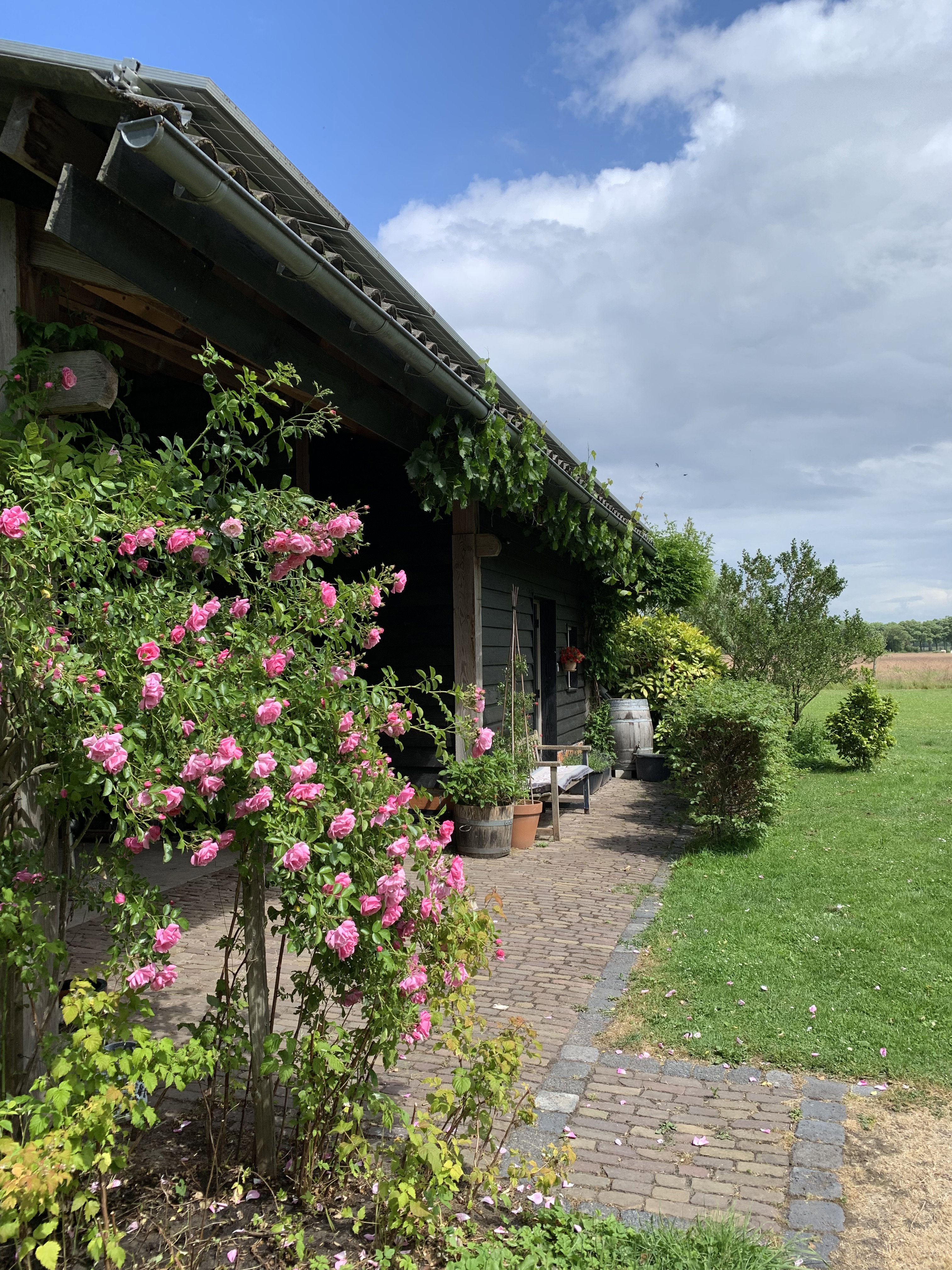 Natuurhuisje in Boxtel