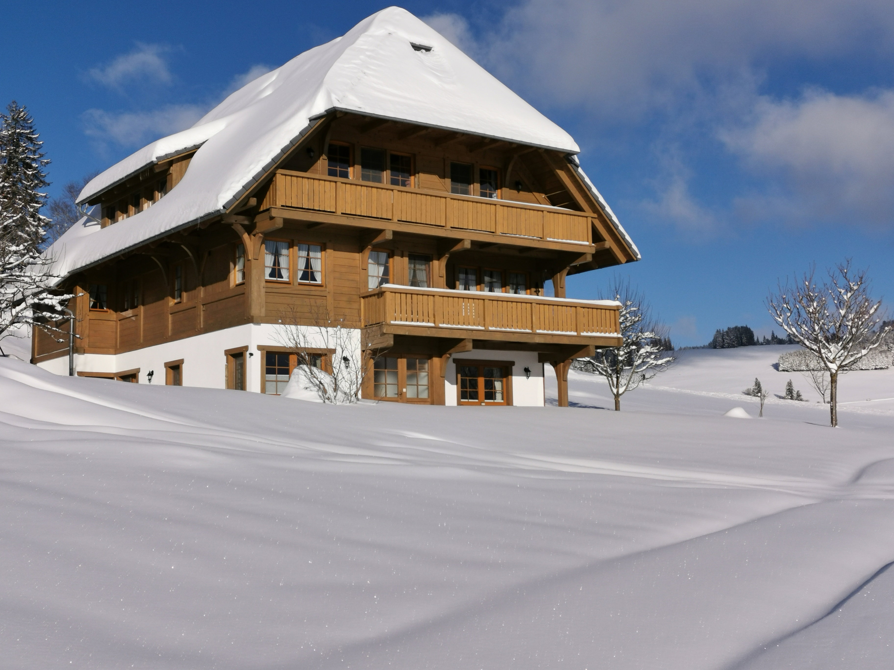 Natuurhuisje in Breitnau
