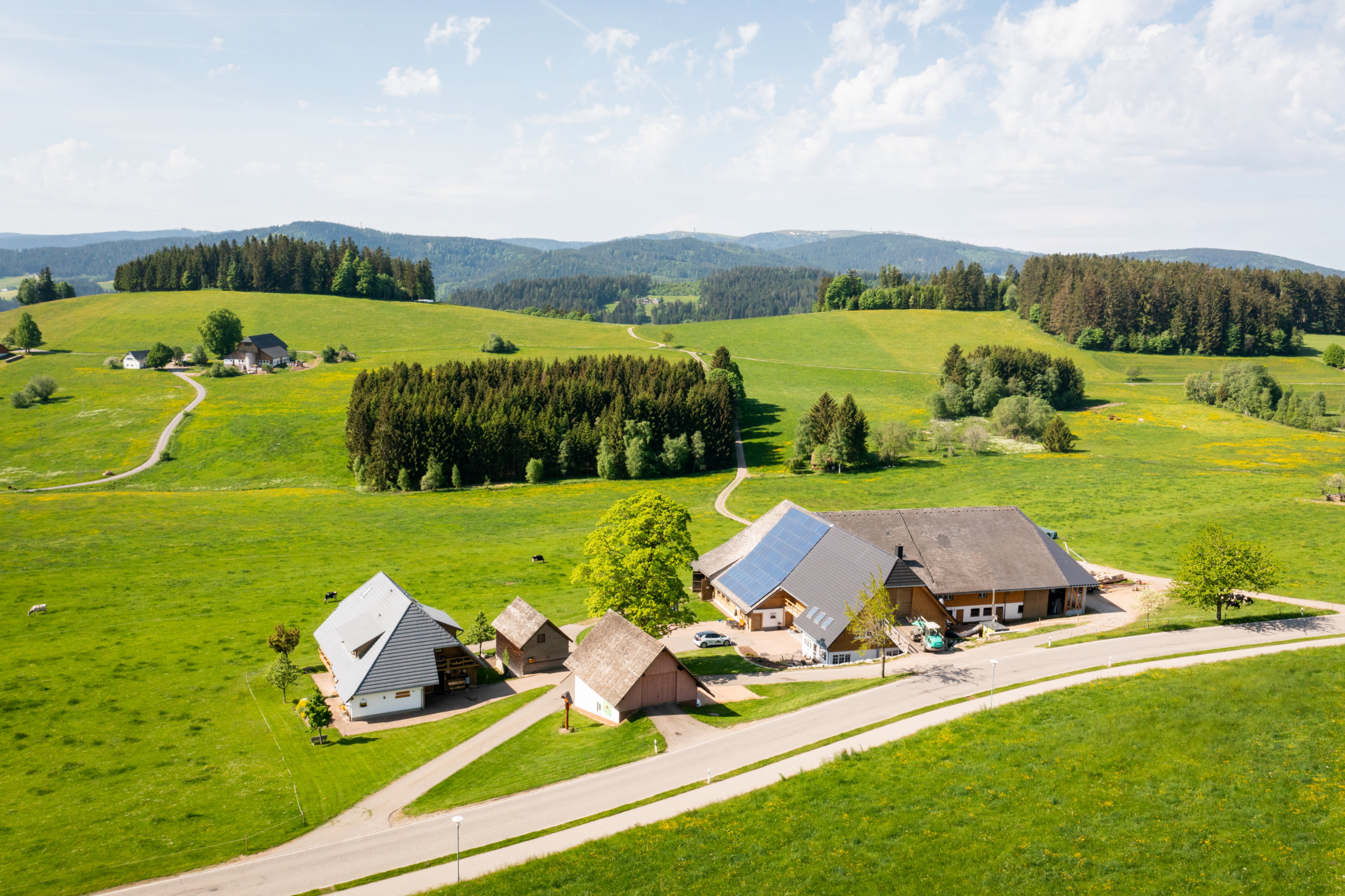 Natuurhuisje in Breitnau