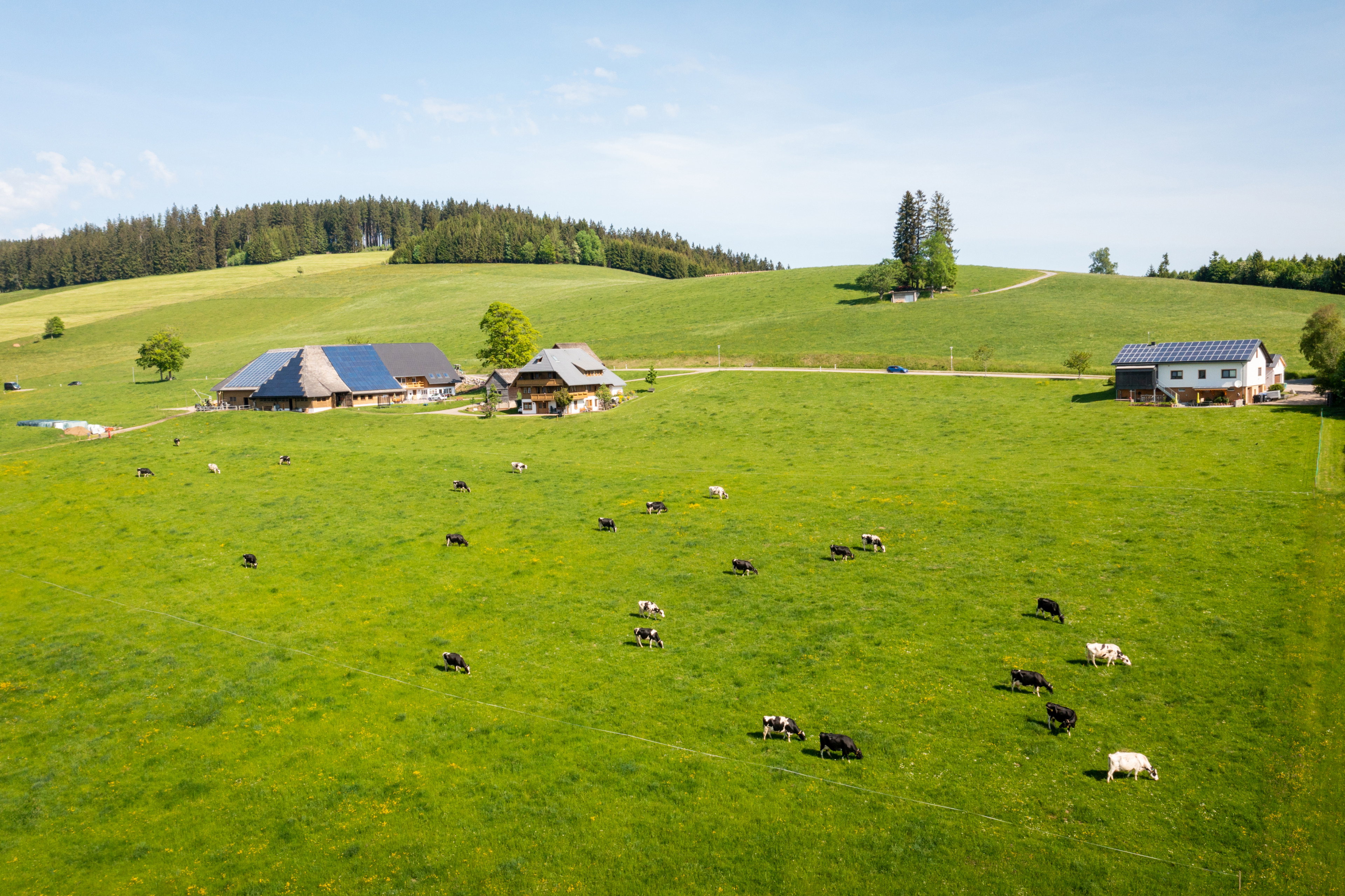 Natuurhuisje in Breitnau
